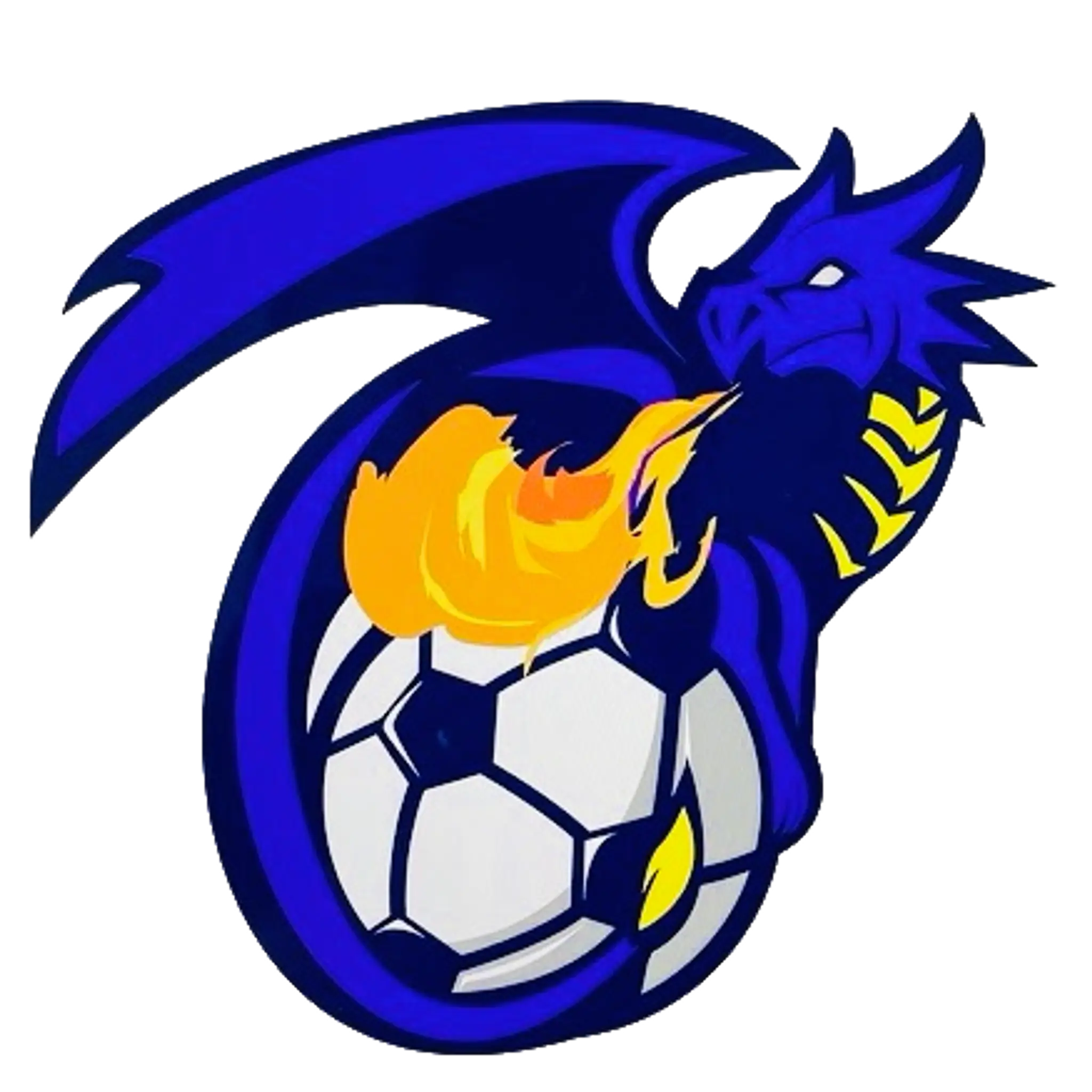 Castle Vale Town Football Club