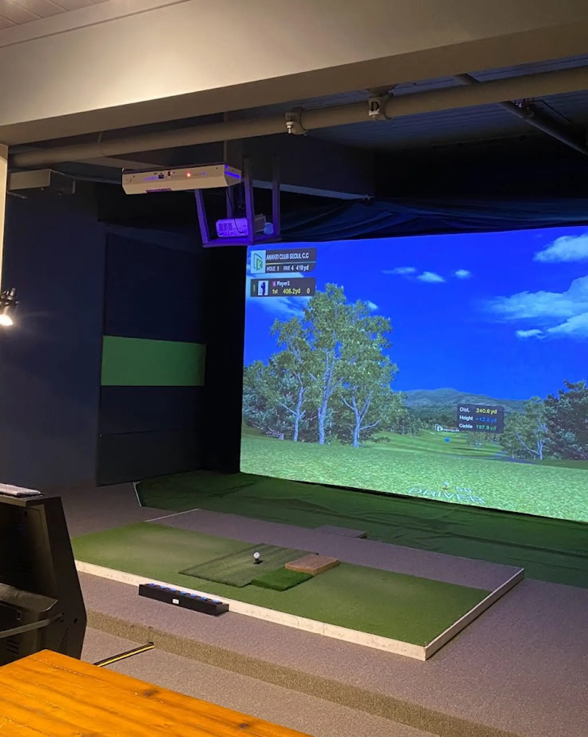 True Swing Indoor Golf