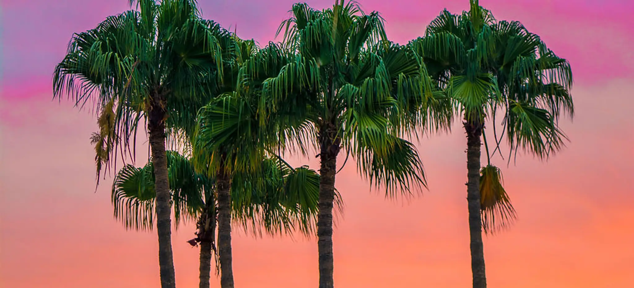 RITMO REGGAETON Dance studio