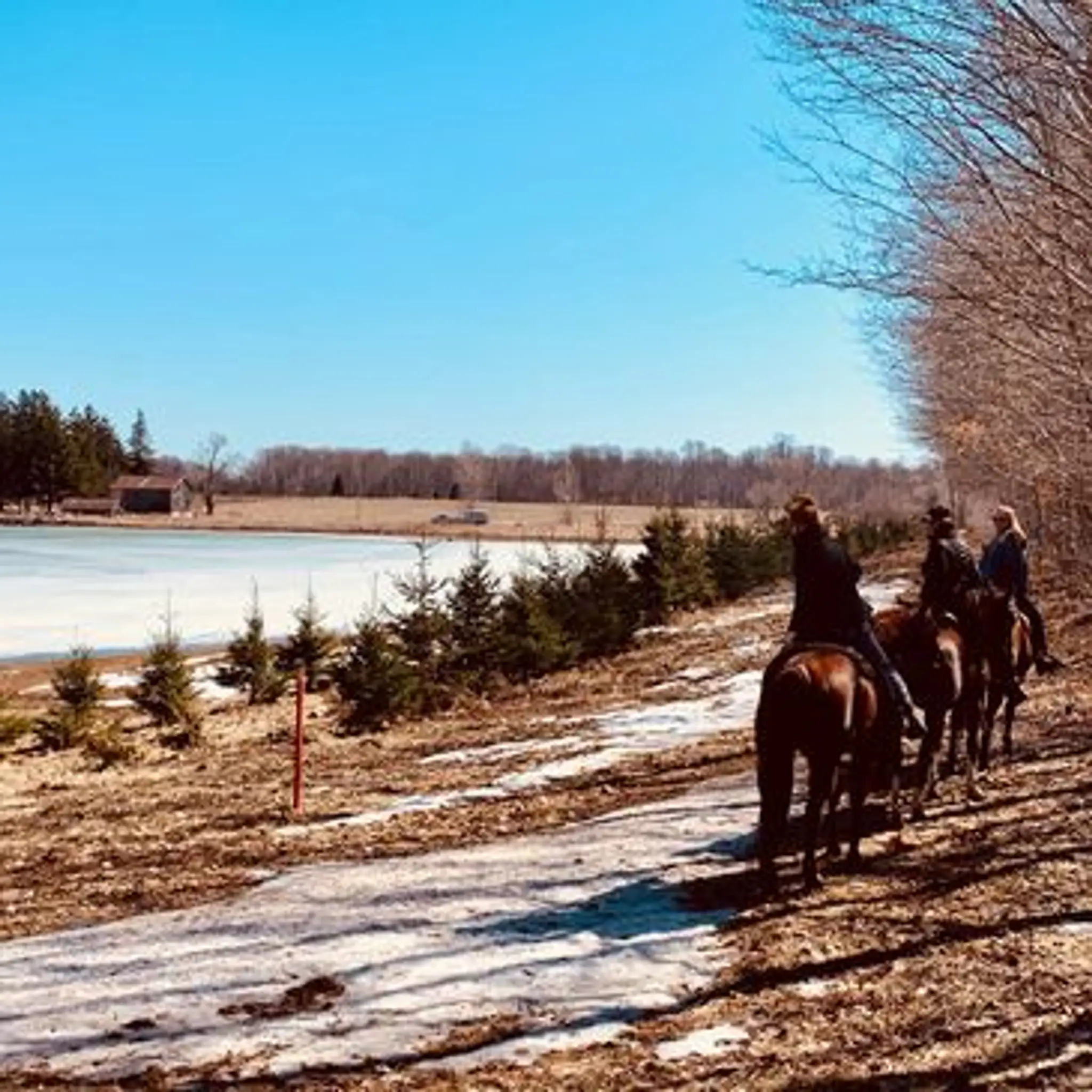 Shoreside Stables (formerly All About Horses)
