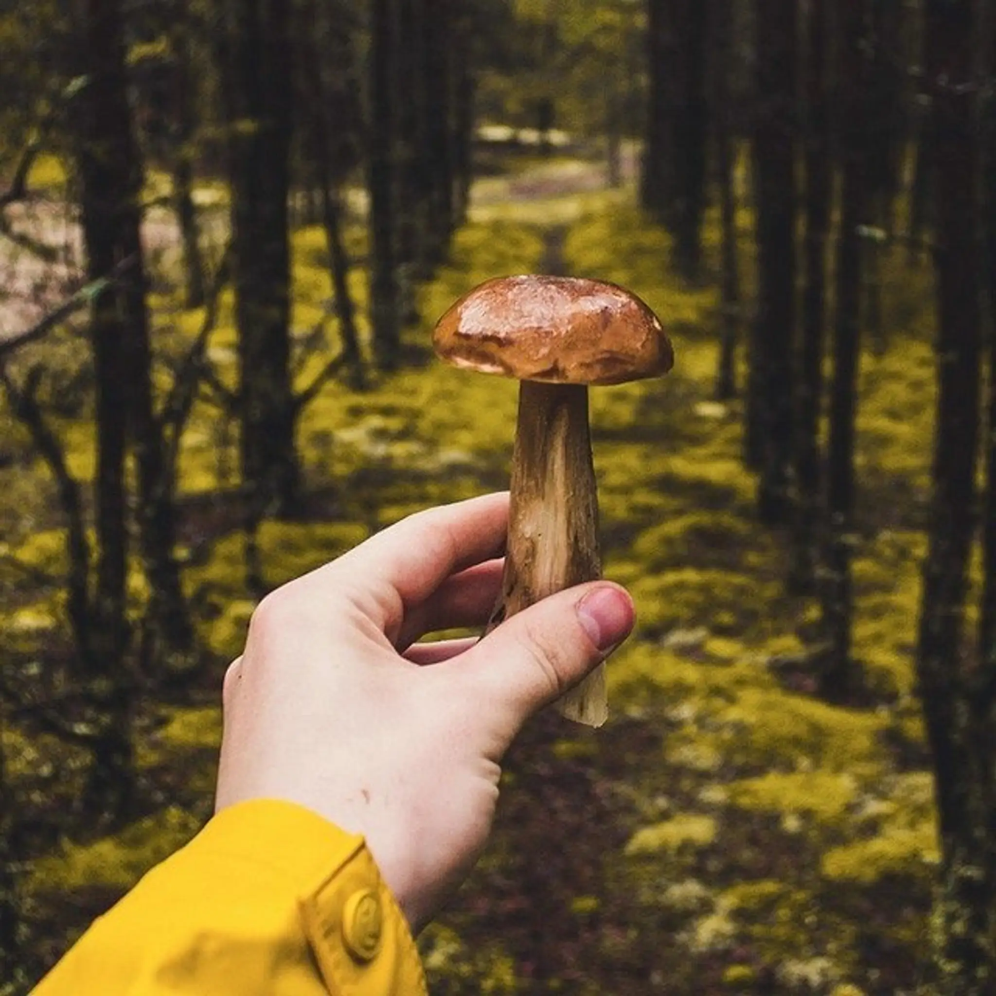 Personal trainer and Boxing coach