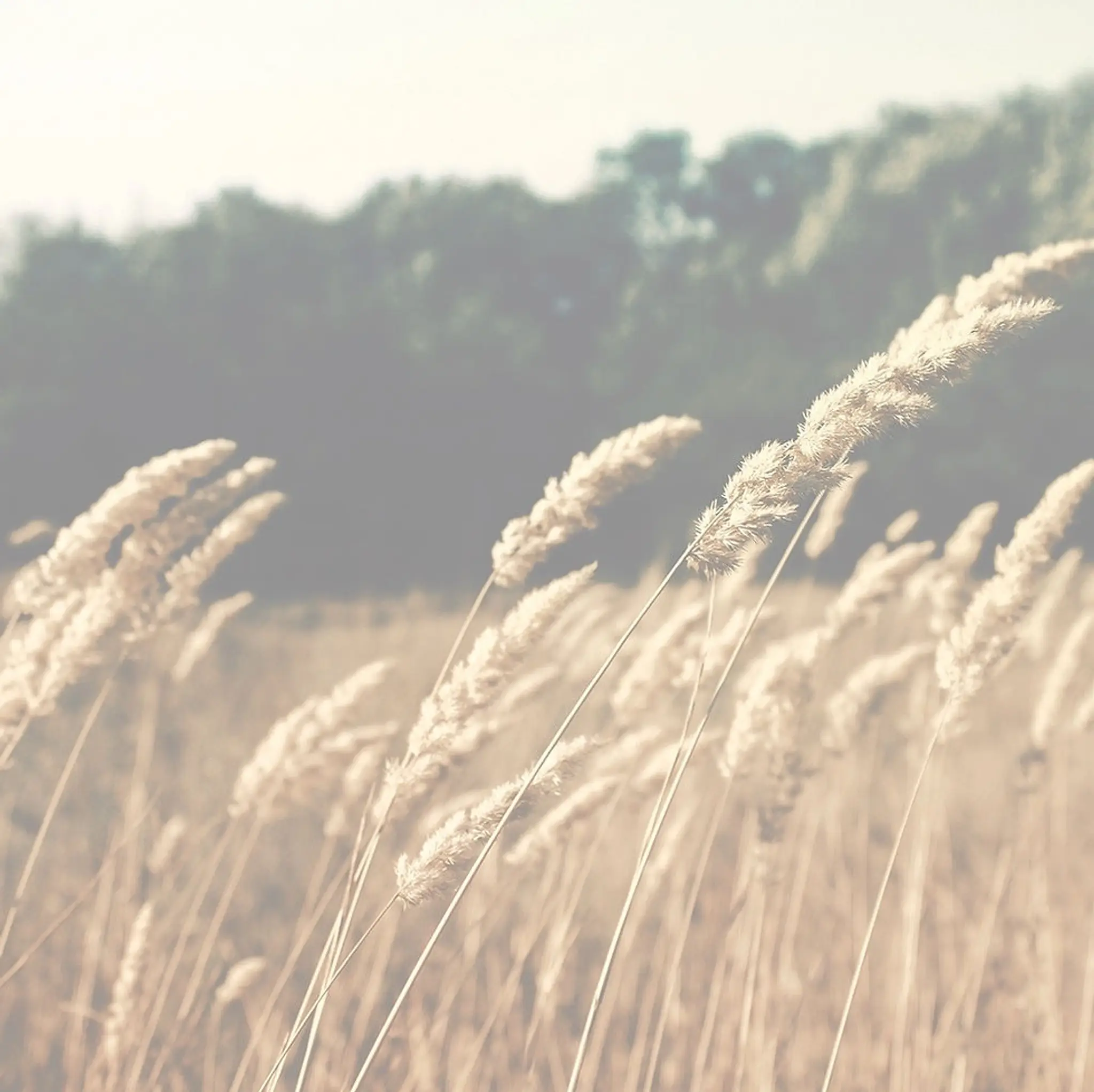 THE POINT HOLISTIC HEALING