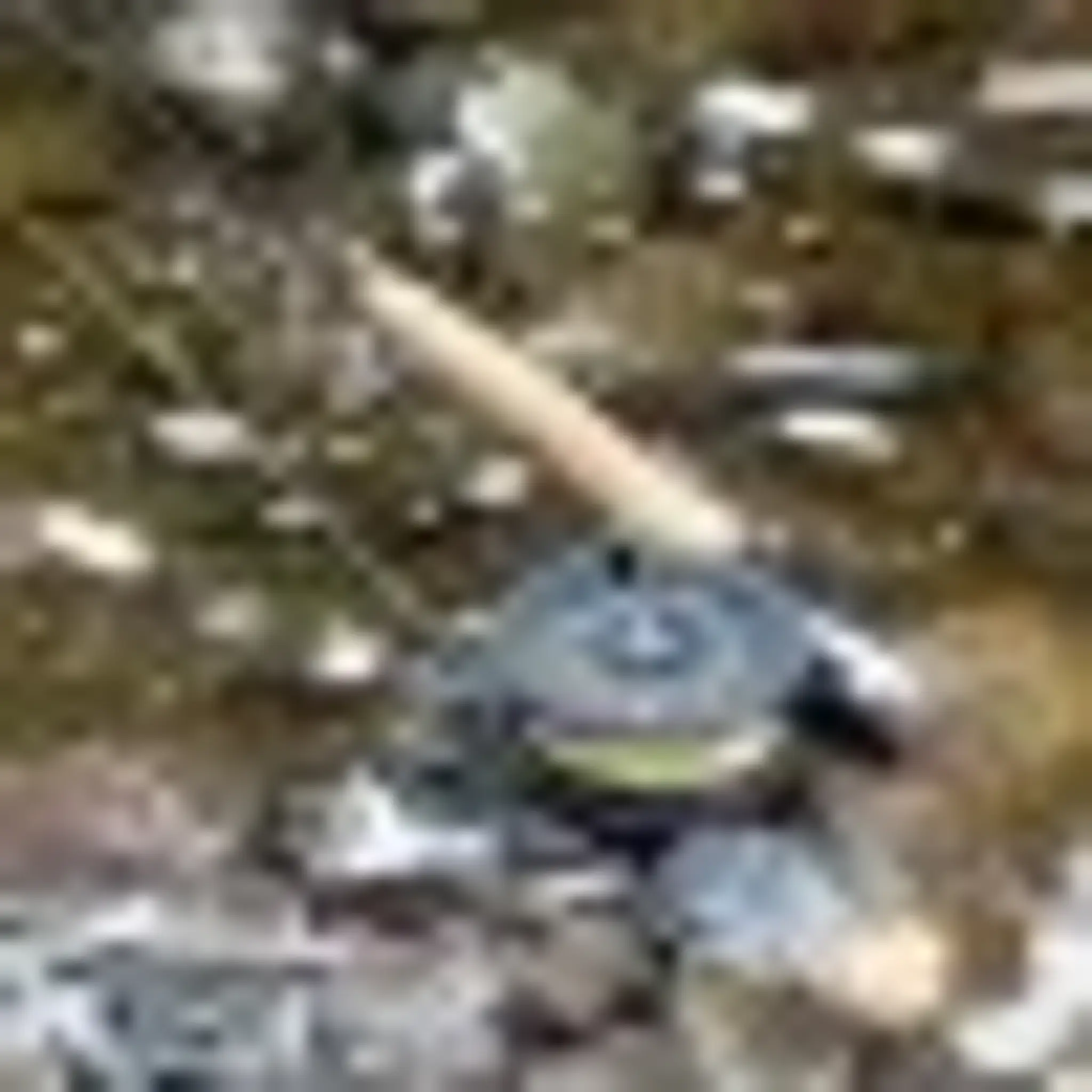 Abercorn Angling Club