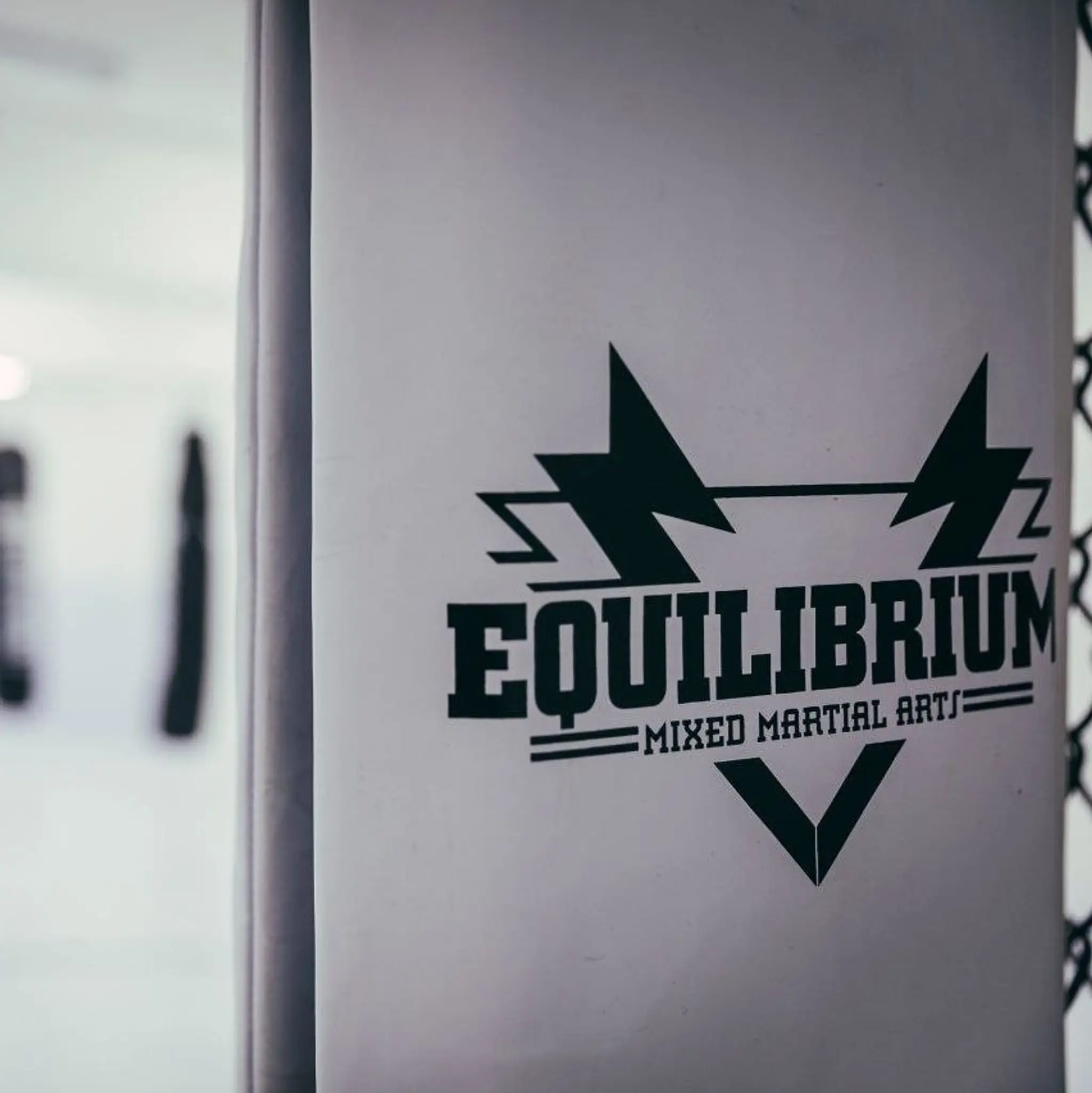 Equilibrium Mixed Martial Arts