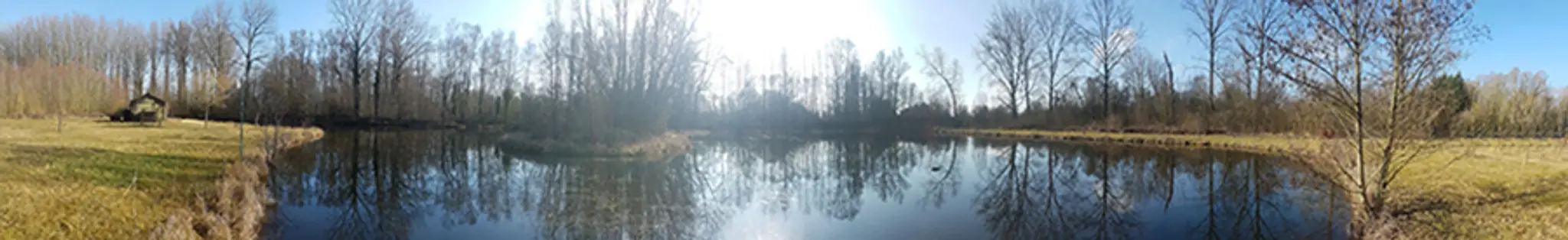 Carpodrome - Les Amis du Marais