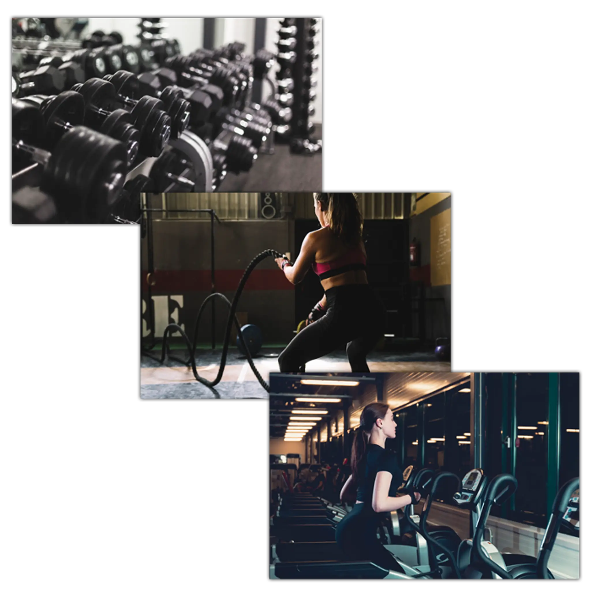 Fabrika Gym