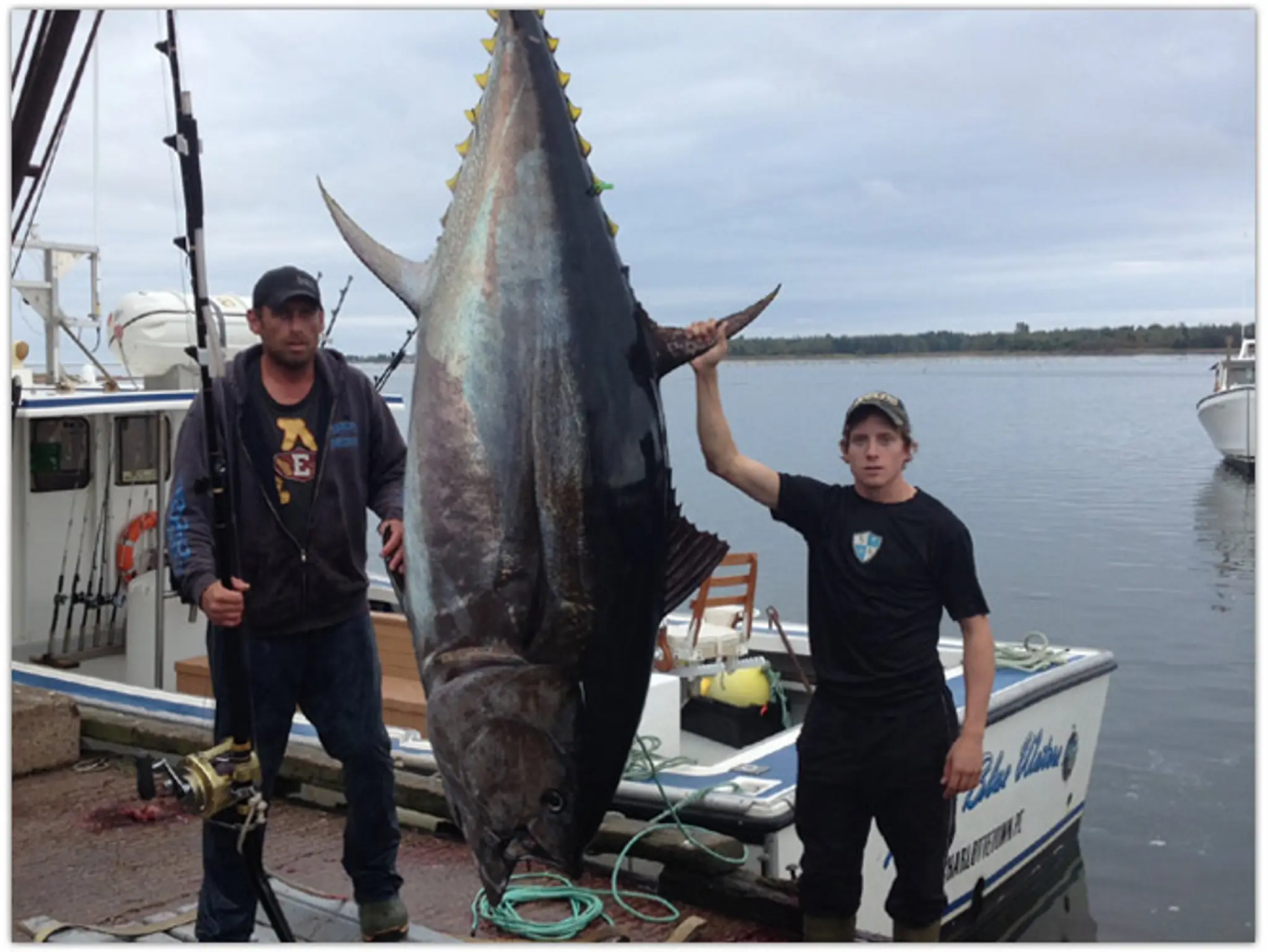 Misty Blue Waters - Deep Sea Charters on PEI