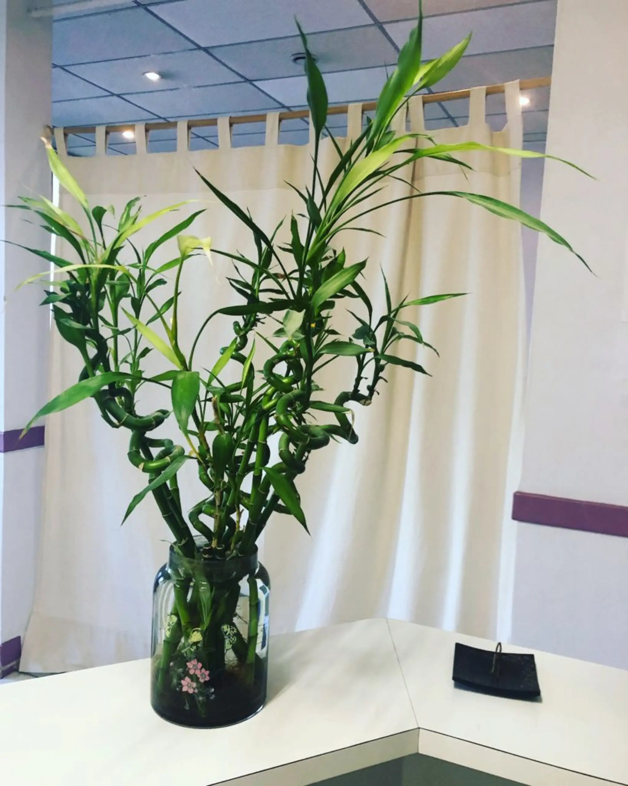 Center Moment Présent