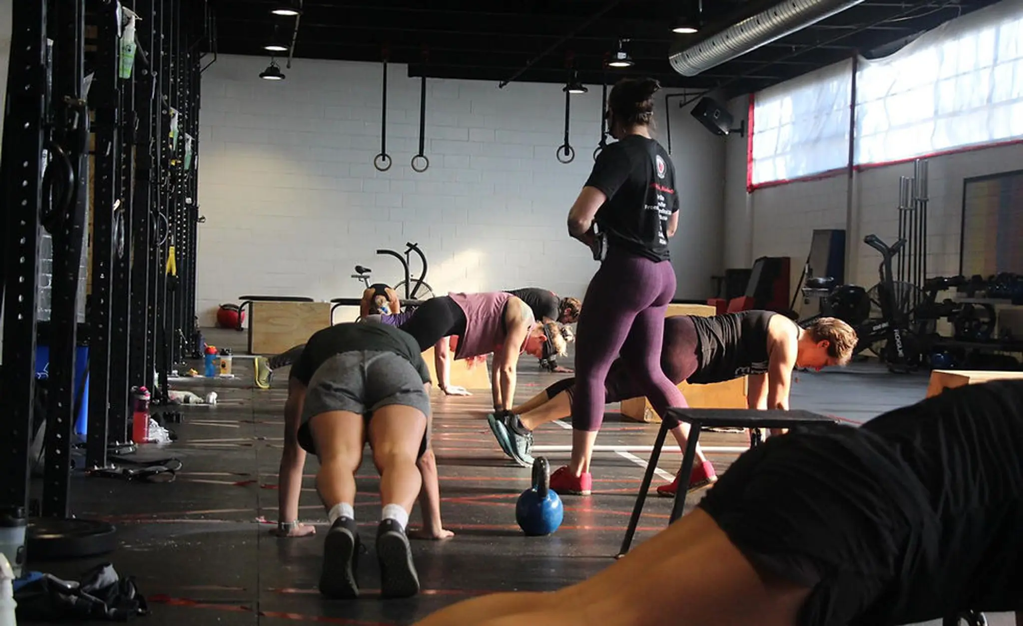 Parker Training & Wellness