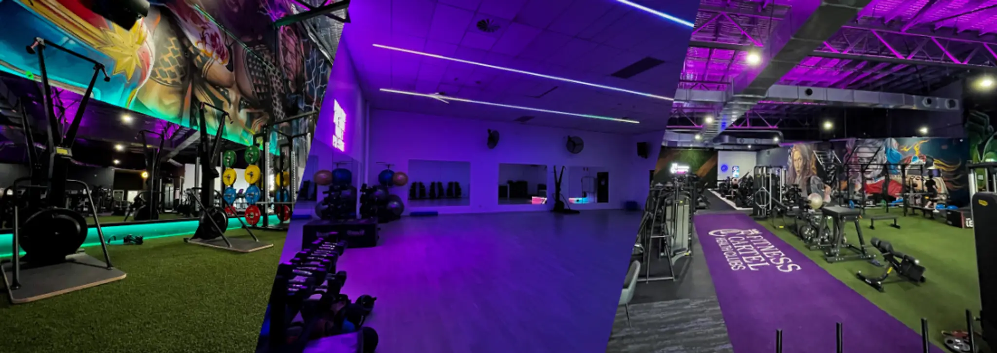 Fitness Cartel Health Clubs Albion Park