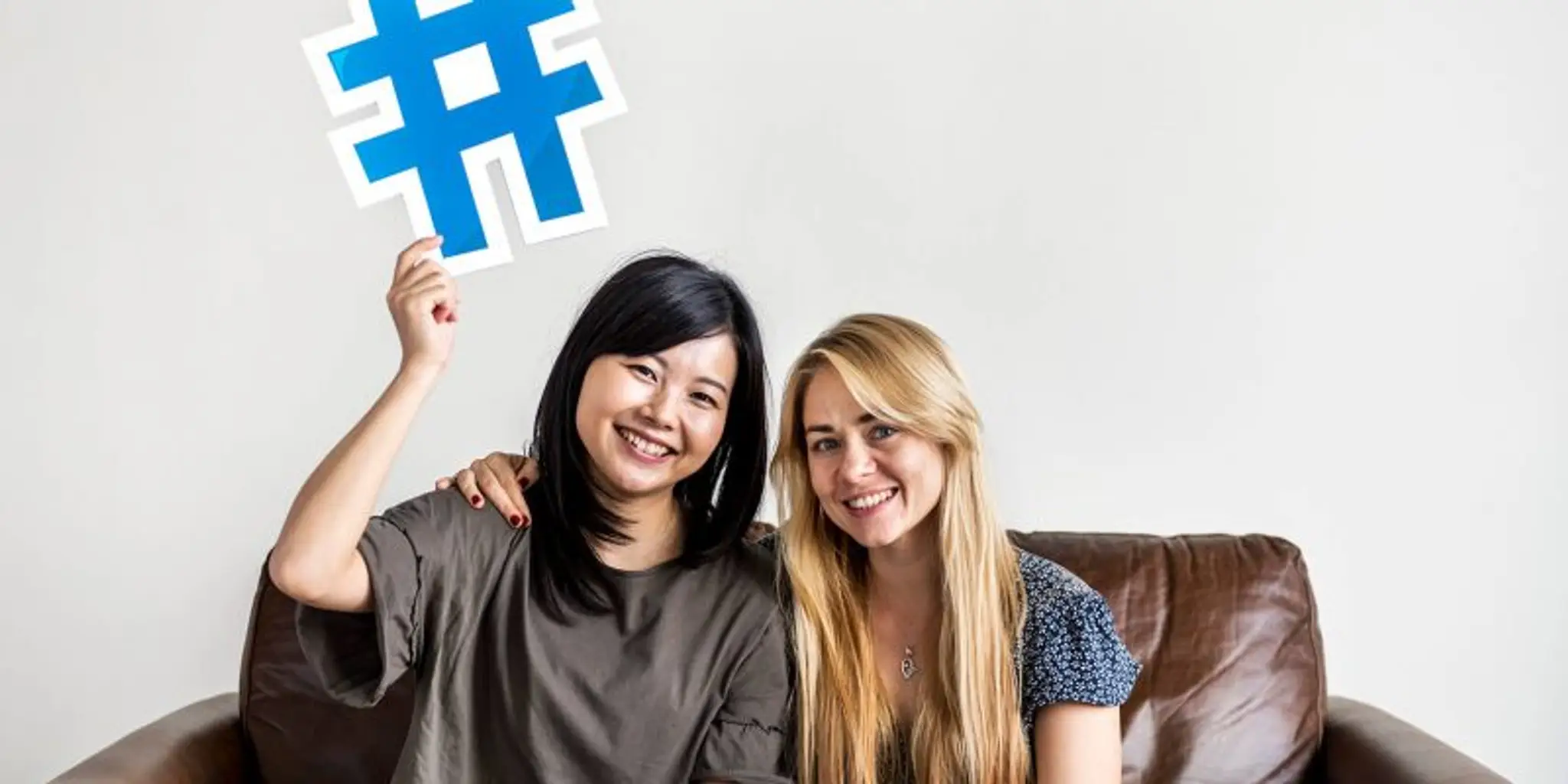 Indian Cyber Security Force ( ICSF )