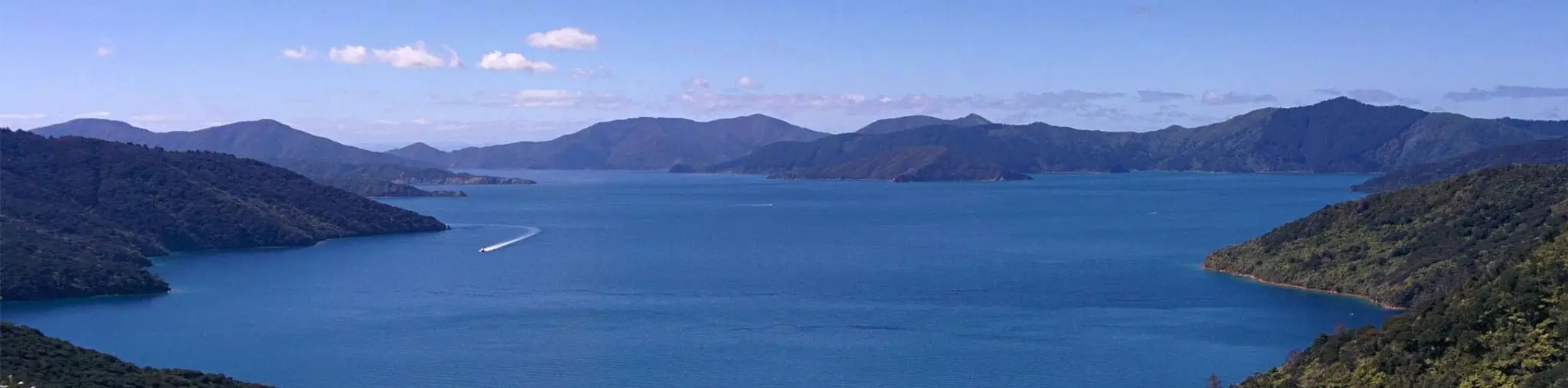 Yoga Marlborough & Ancient's Best