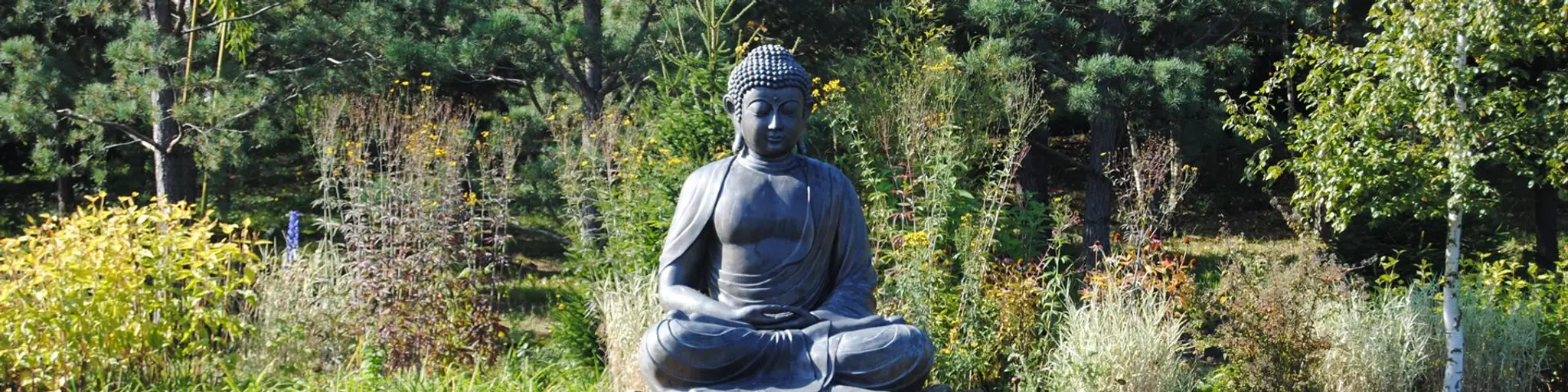 Yoga Ayurveda