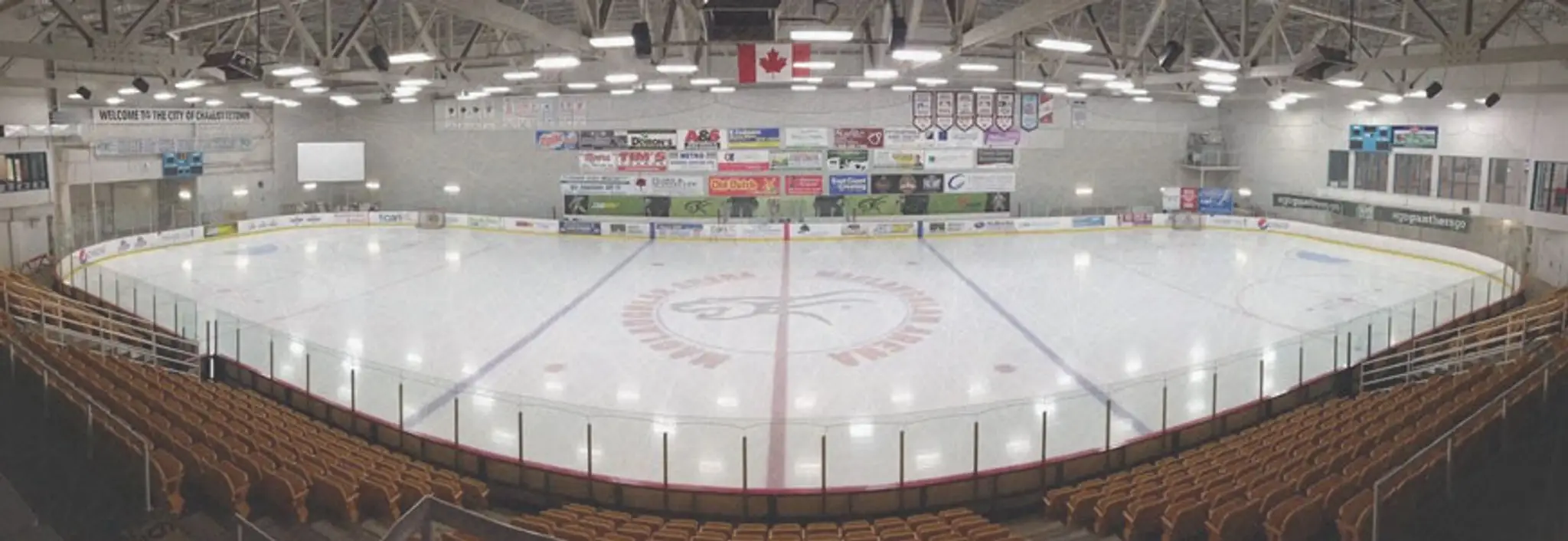 Andrews Hockey Growth Programs