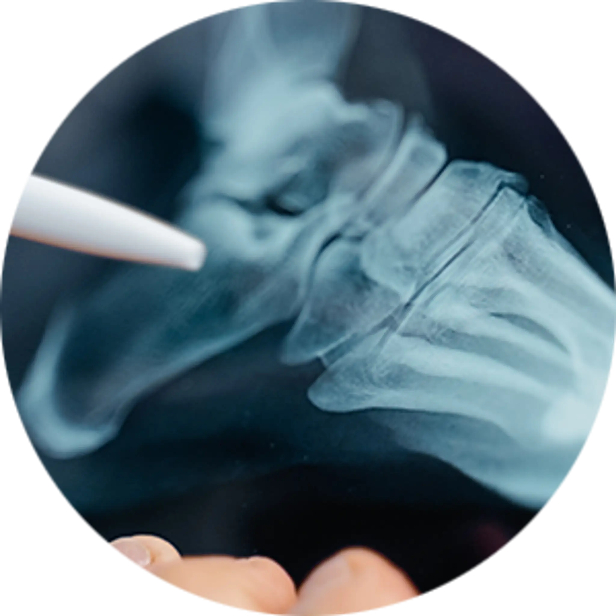 QE Health Wellness Centre