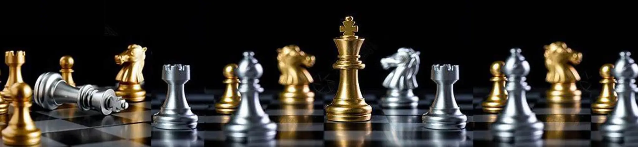 Échecs Club de Villeurbanne