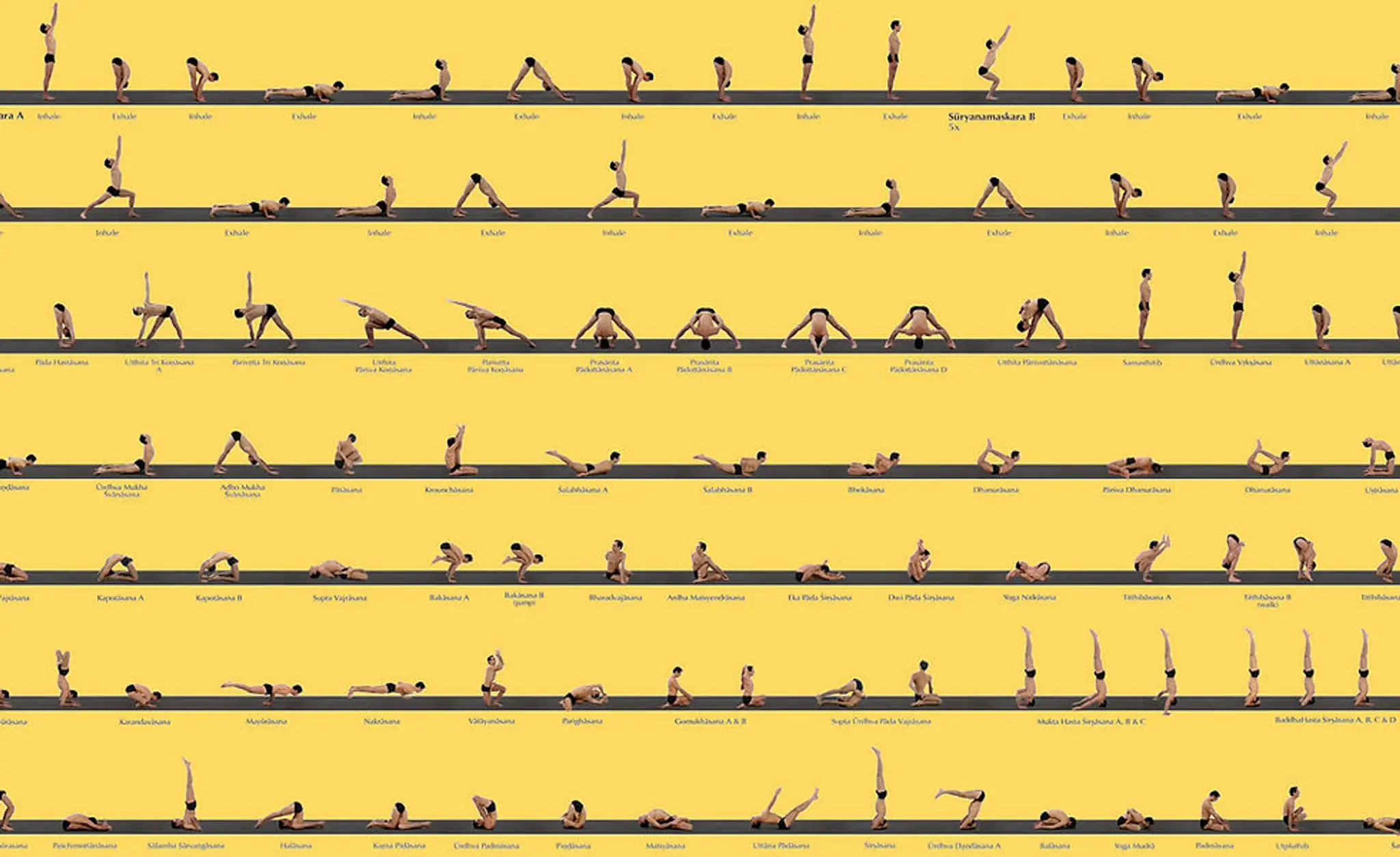 Ananda Yoga