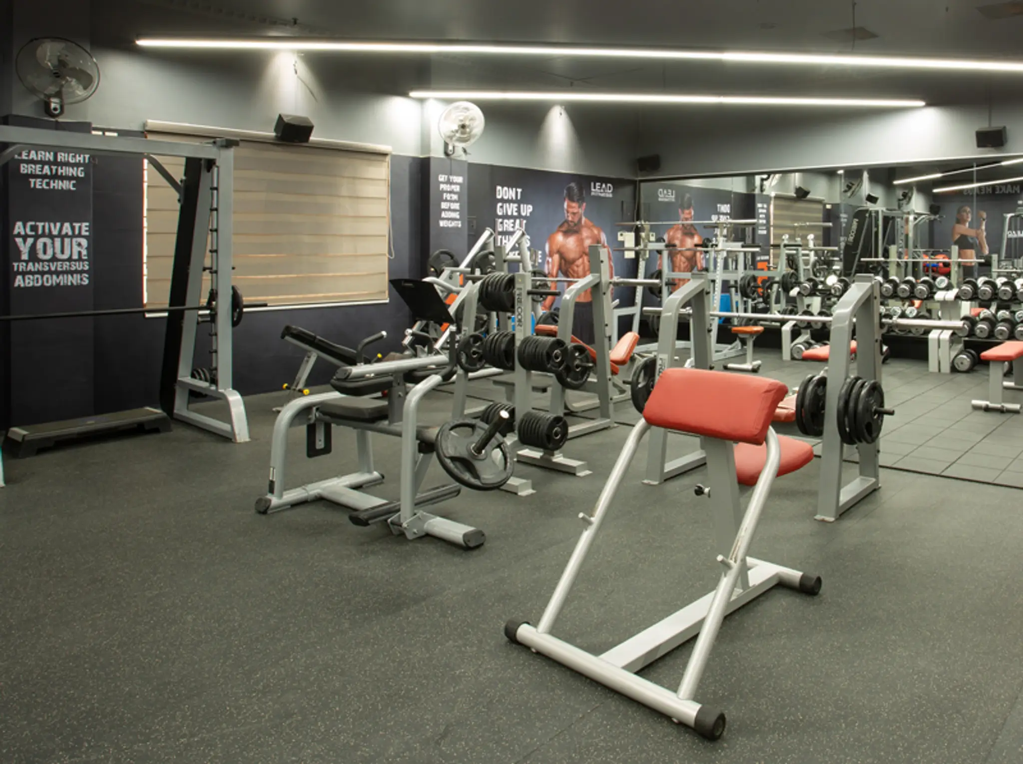 Lead Fitness