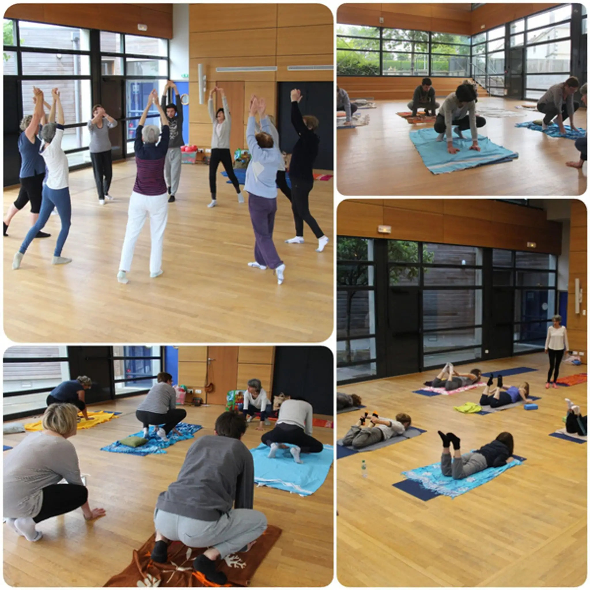 Abelia Yoga