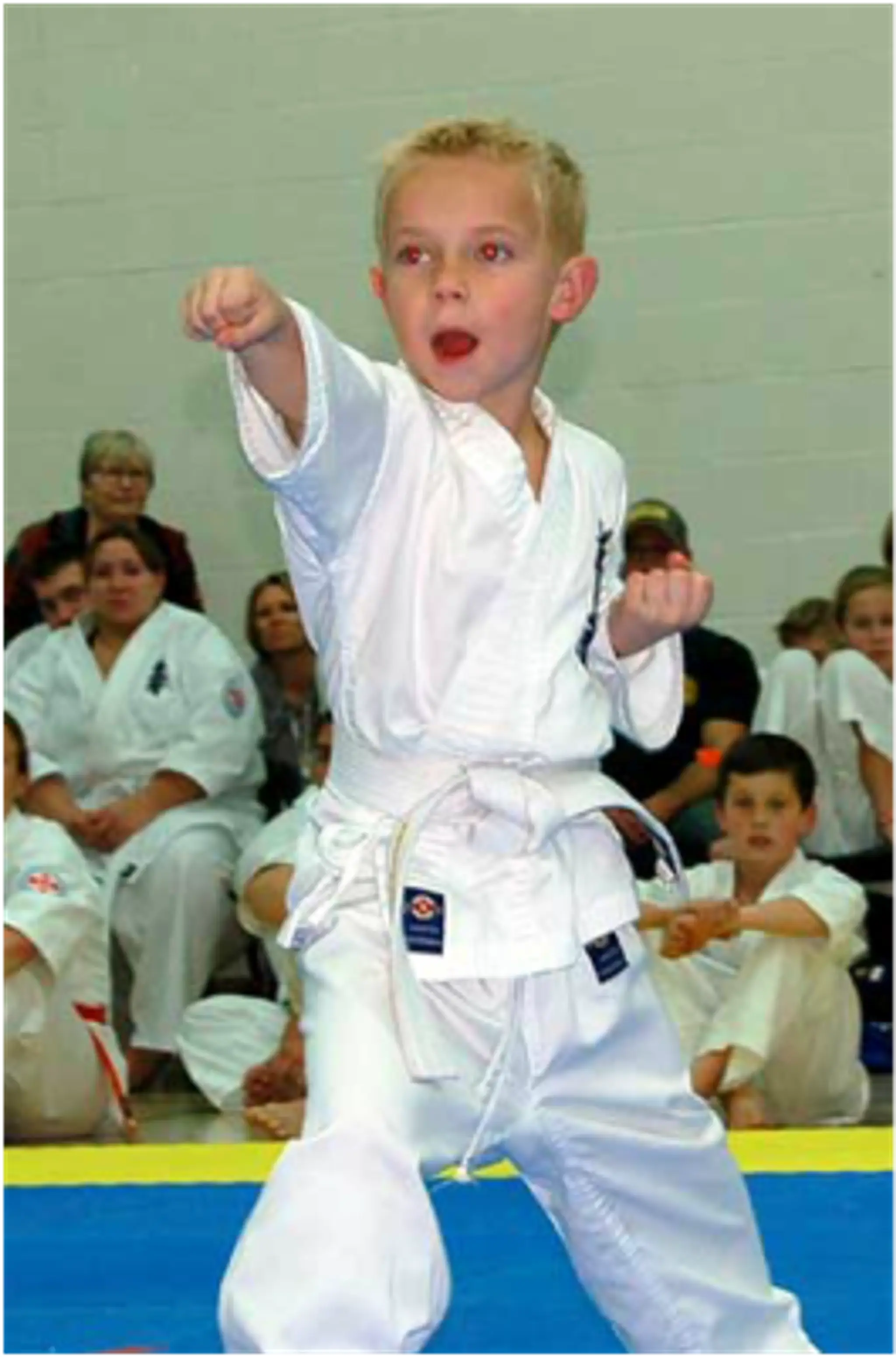 Calgary Kyokushin Karate - Lake Bonavista Dojo