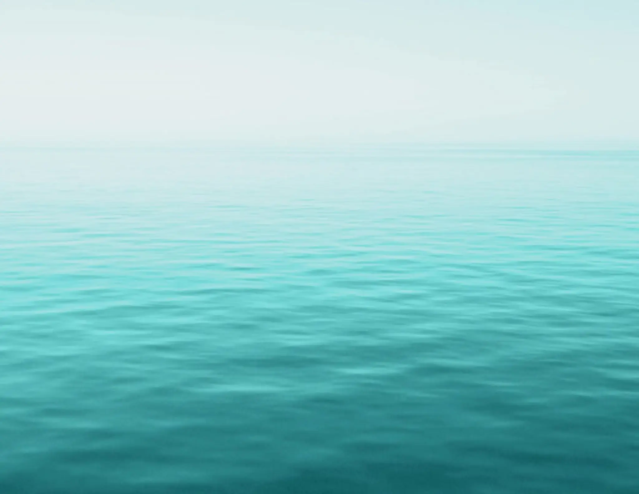 The collective aerial arts and fitness