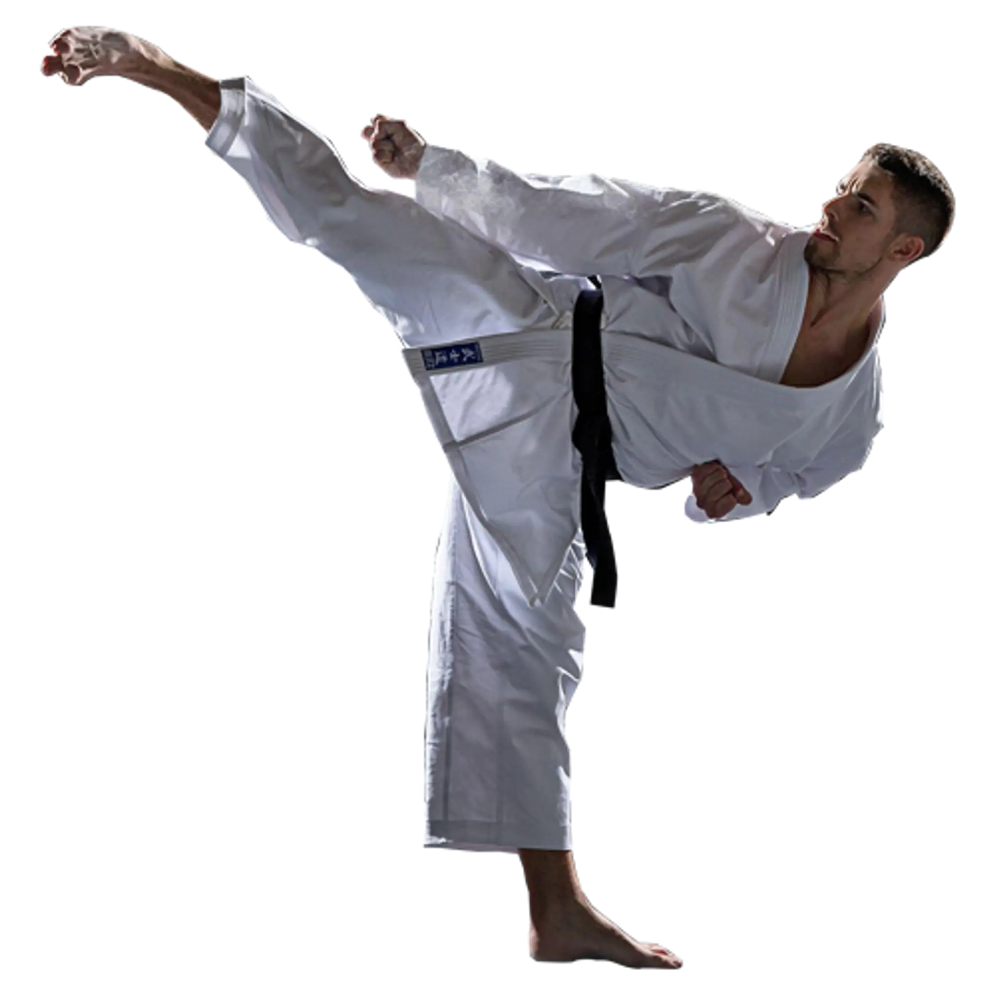 Mixed Martial Arts MMA Classes Laxmi Nagar