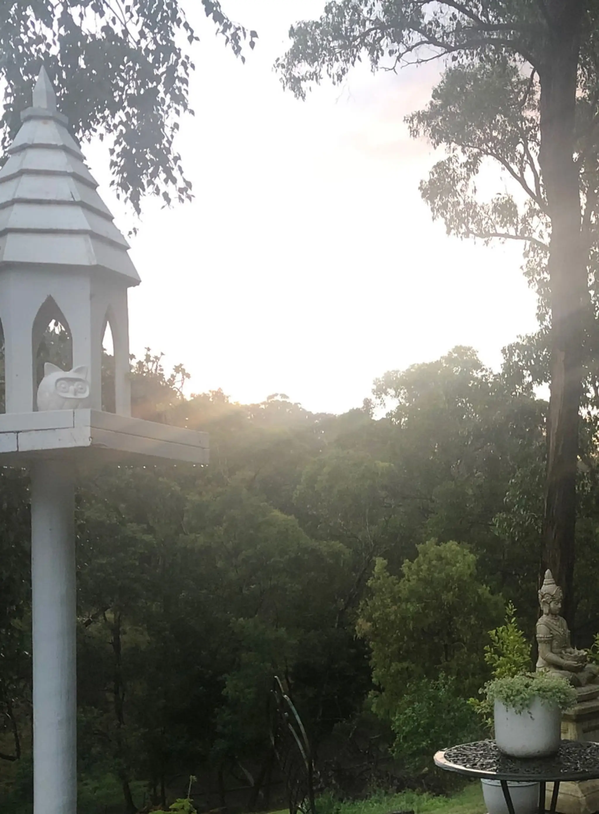 Mahi spa yoga wellness