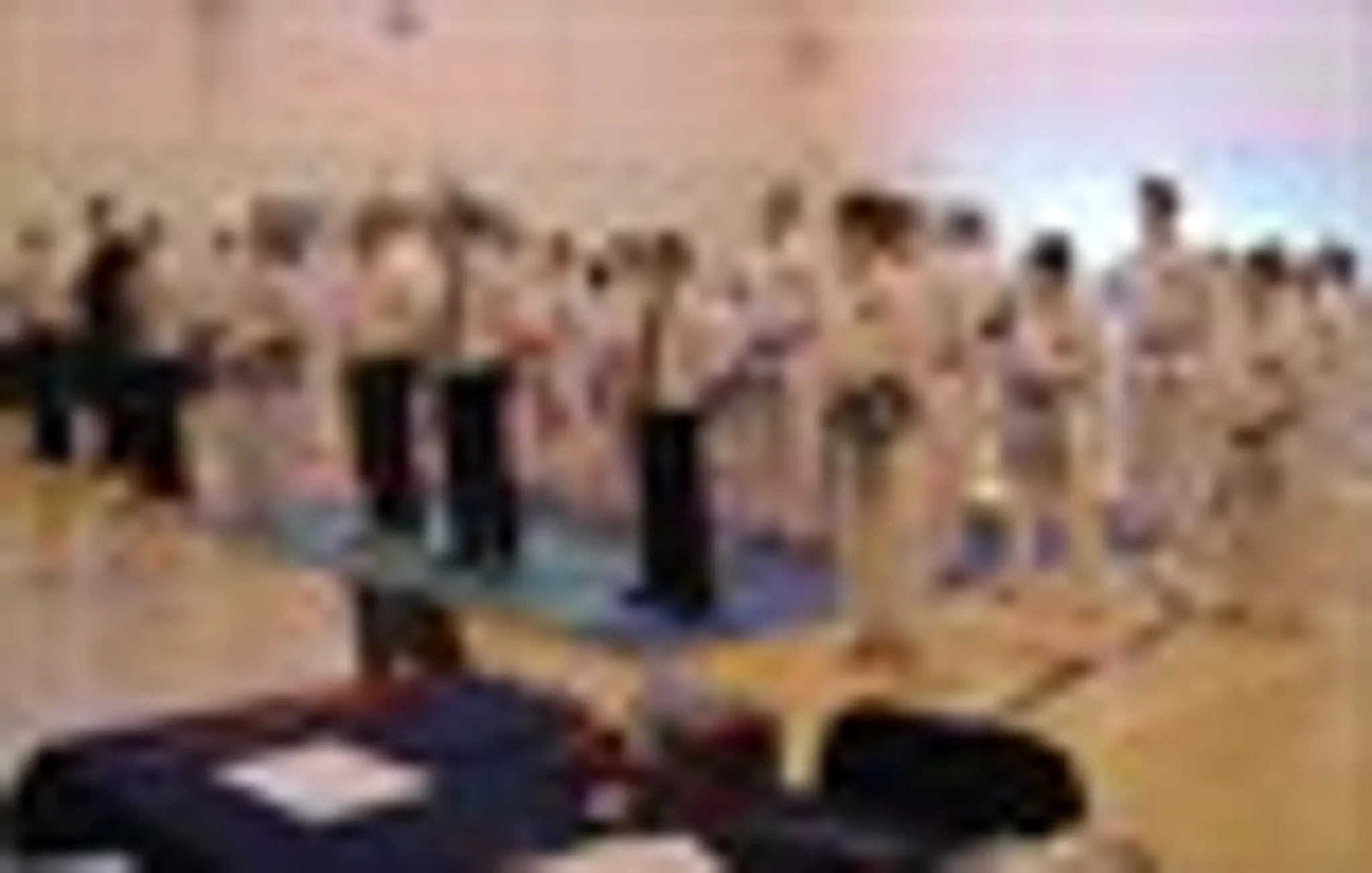Spirit TKD (ITF Taekwon-Do) Marlborough School