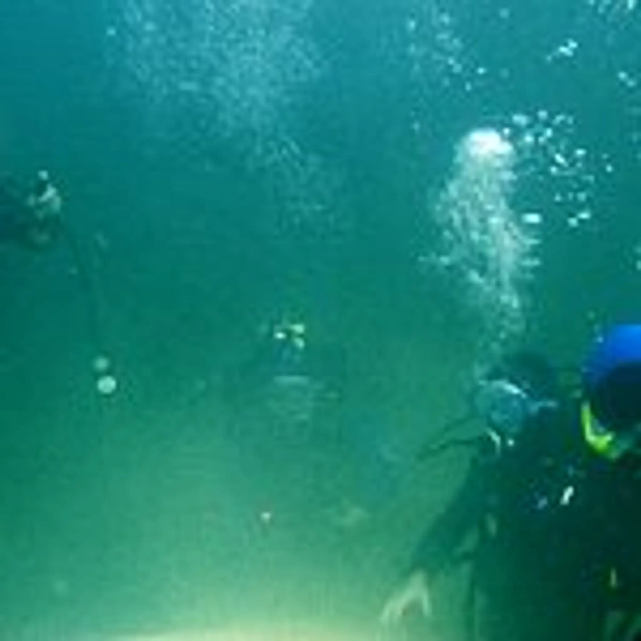 DiveINNResort Guláška