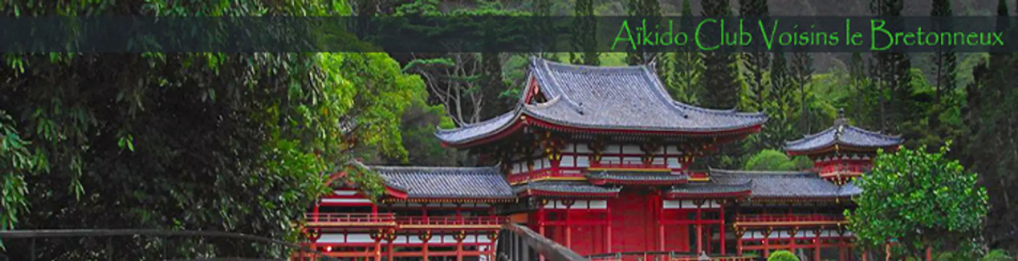 Aikido Voisins