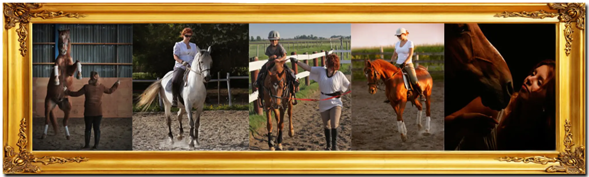 Mange Du Centaure Equestrian Center And School D'quitation