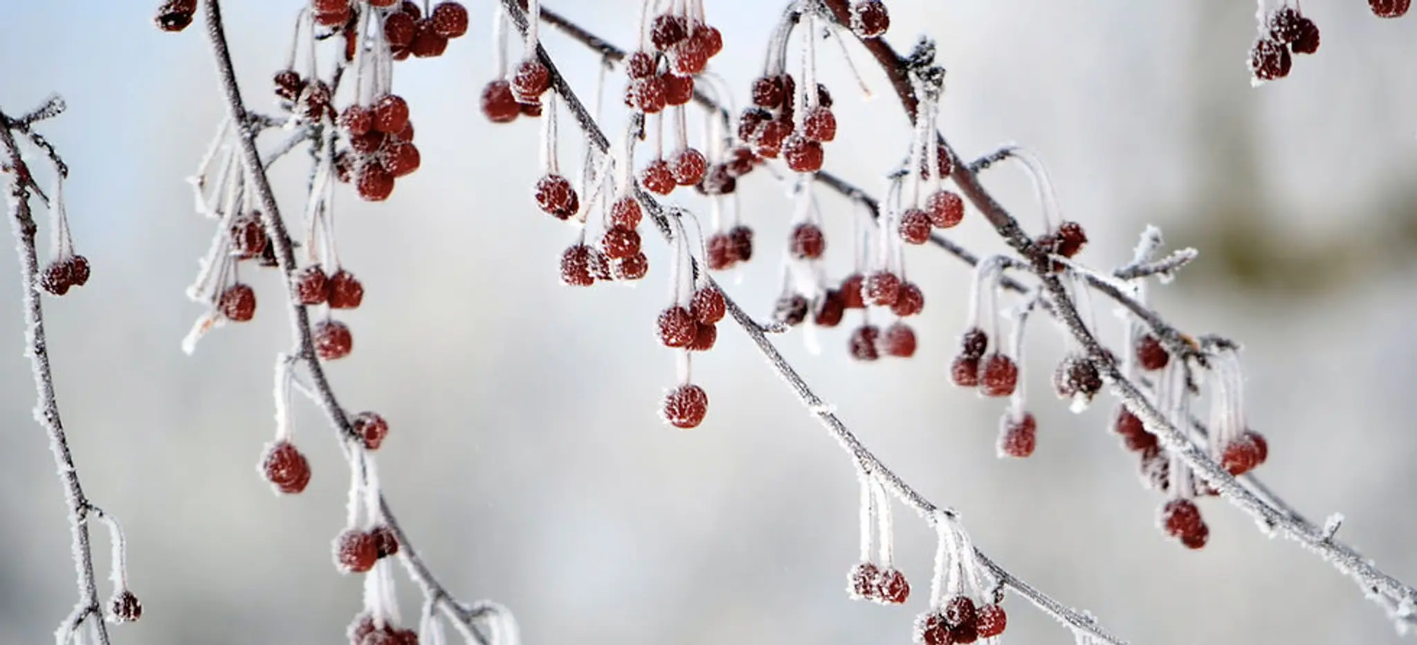 Ardmore Community Hall