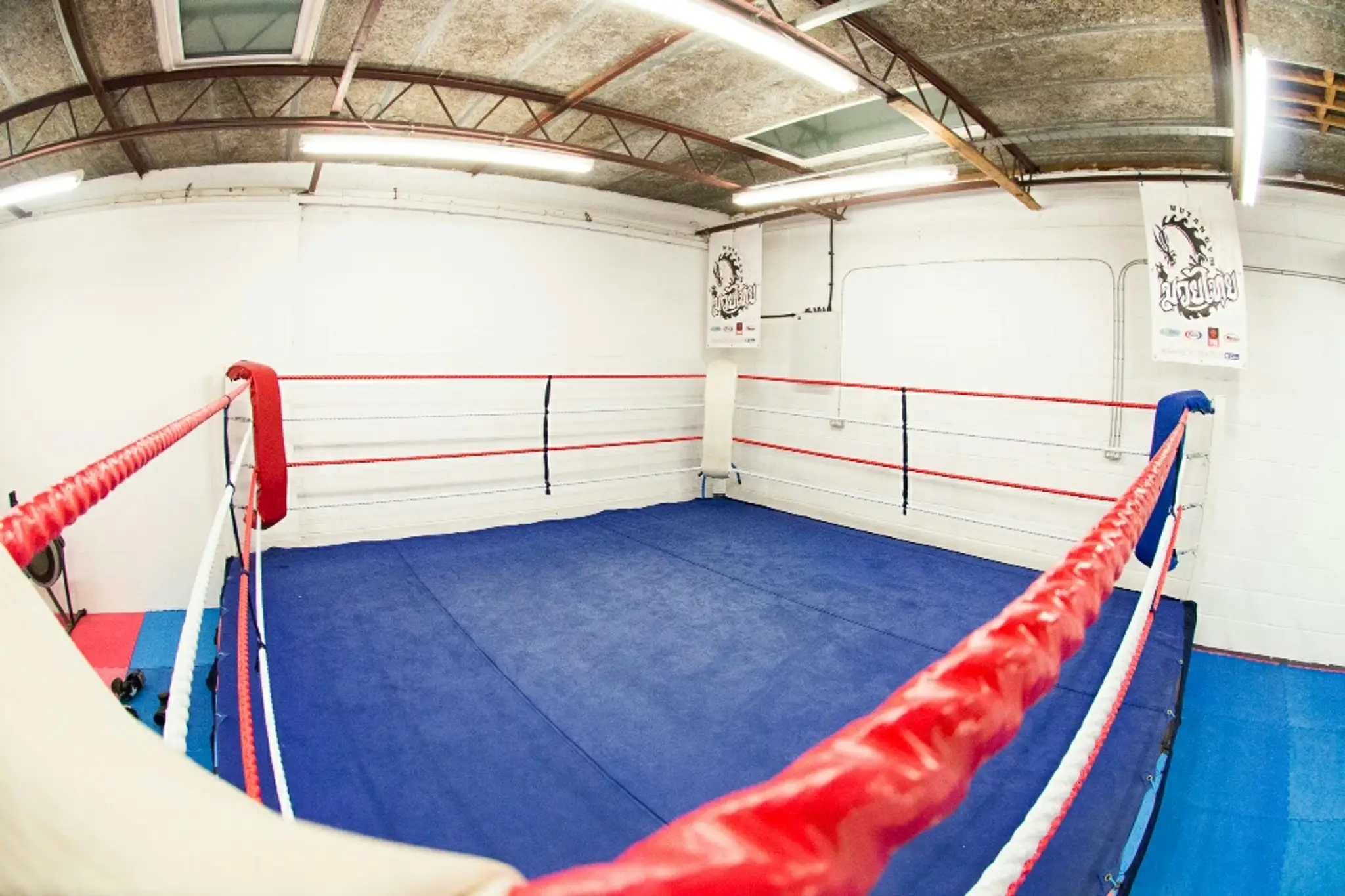 Shirekings Fitness Solutions