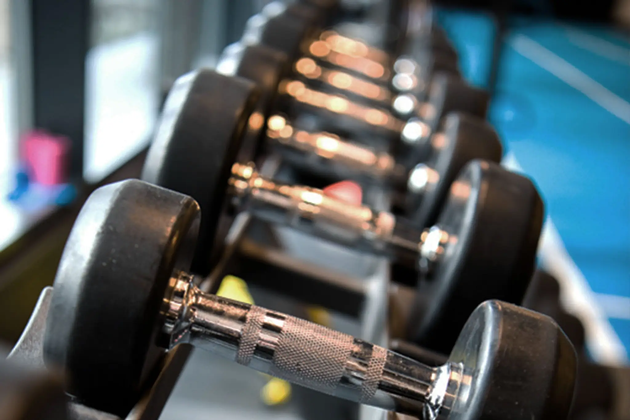 Strength and Conditioning Education