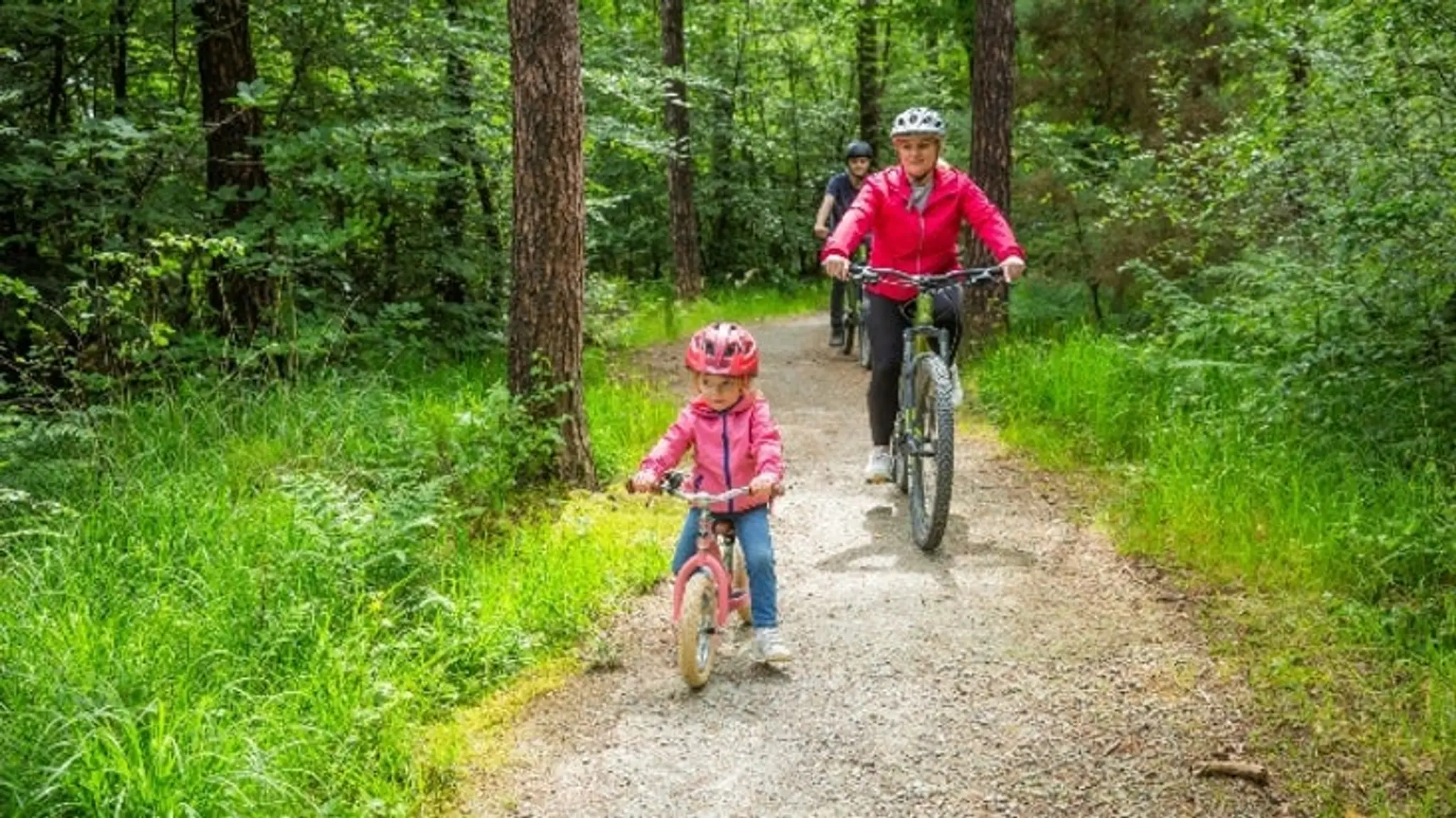 Lanhydrock Cycle Trails