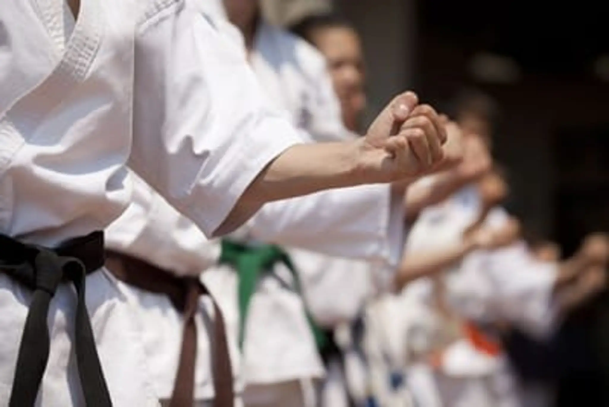 Meibukan Gojyu Ryu