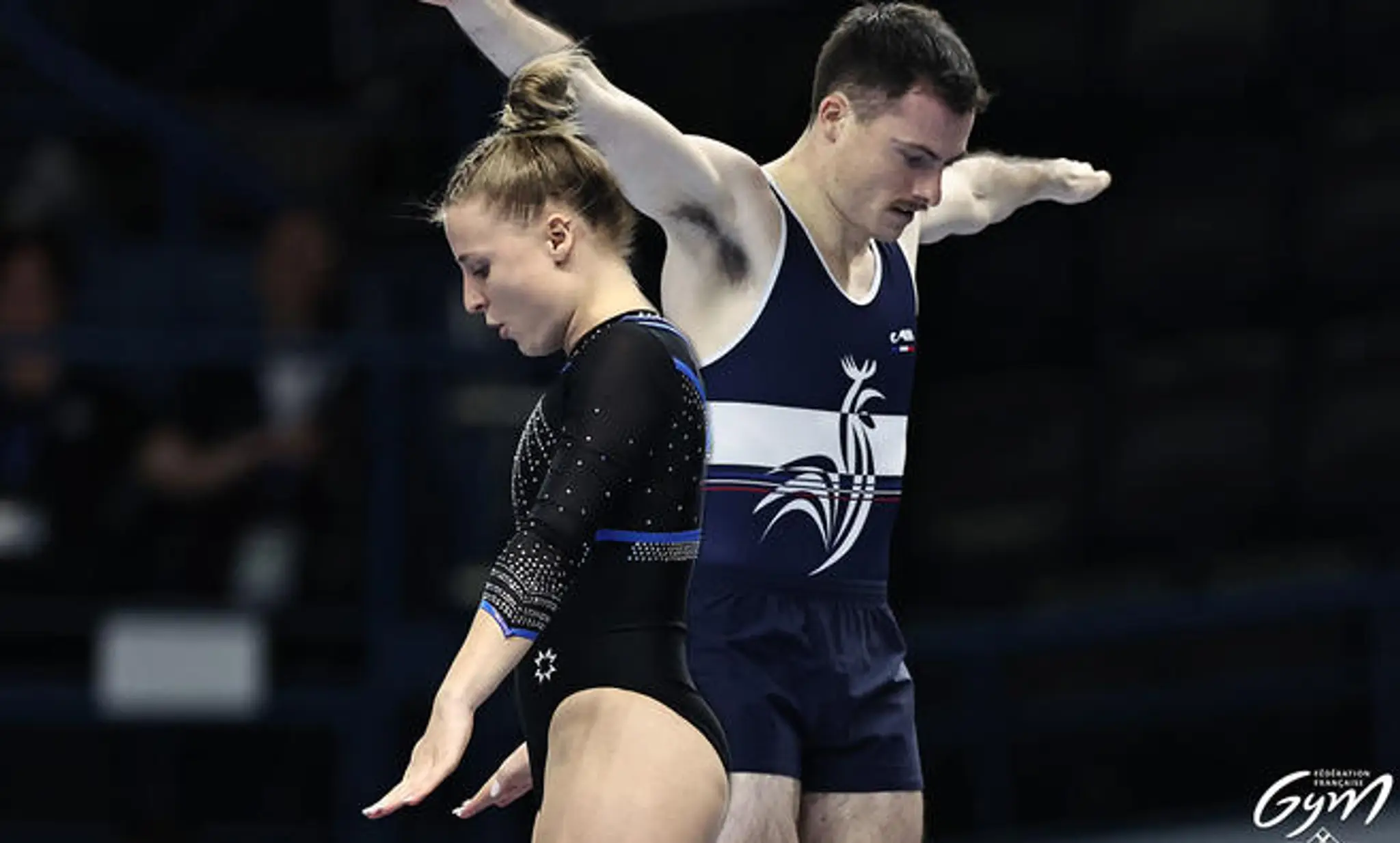 French Gymnastics Federation