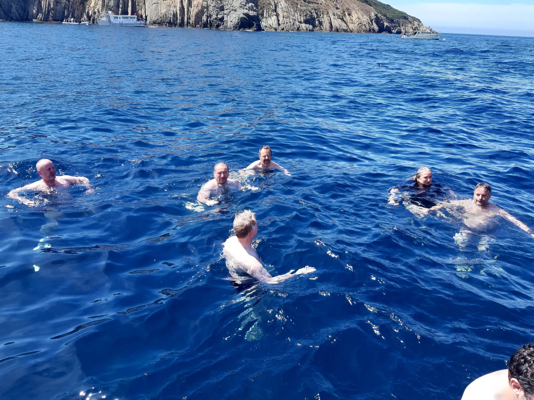 CDM - Club des dauphins de Monplaisir - Plongée sous-marine à Lyon