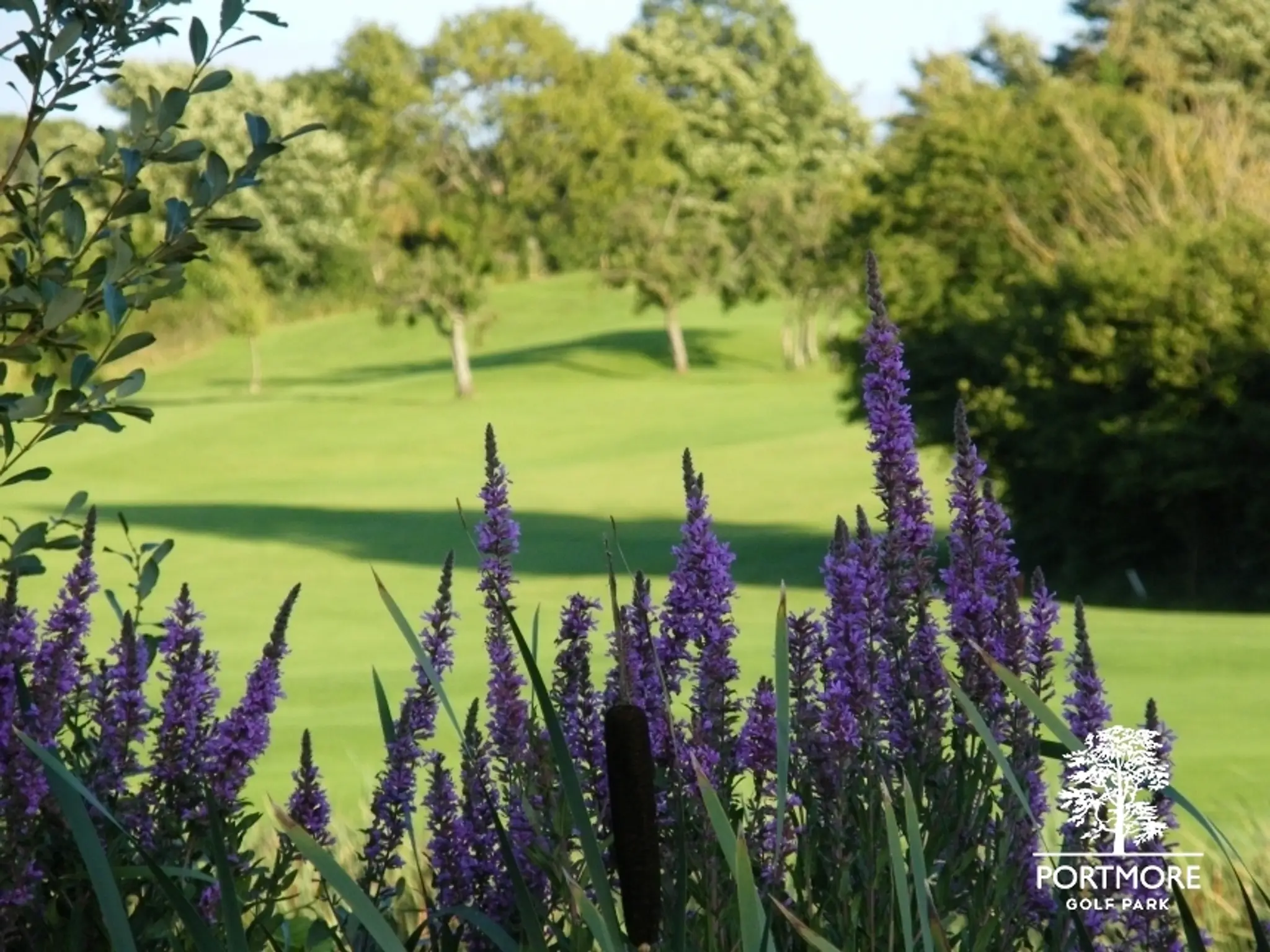 Portmore Golf Park & TOPTRACER Range