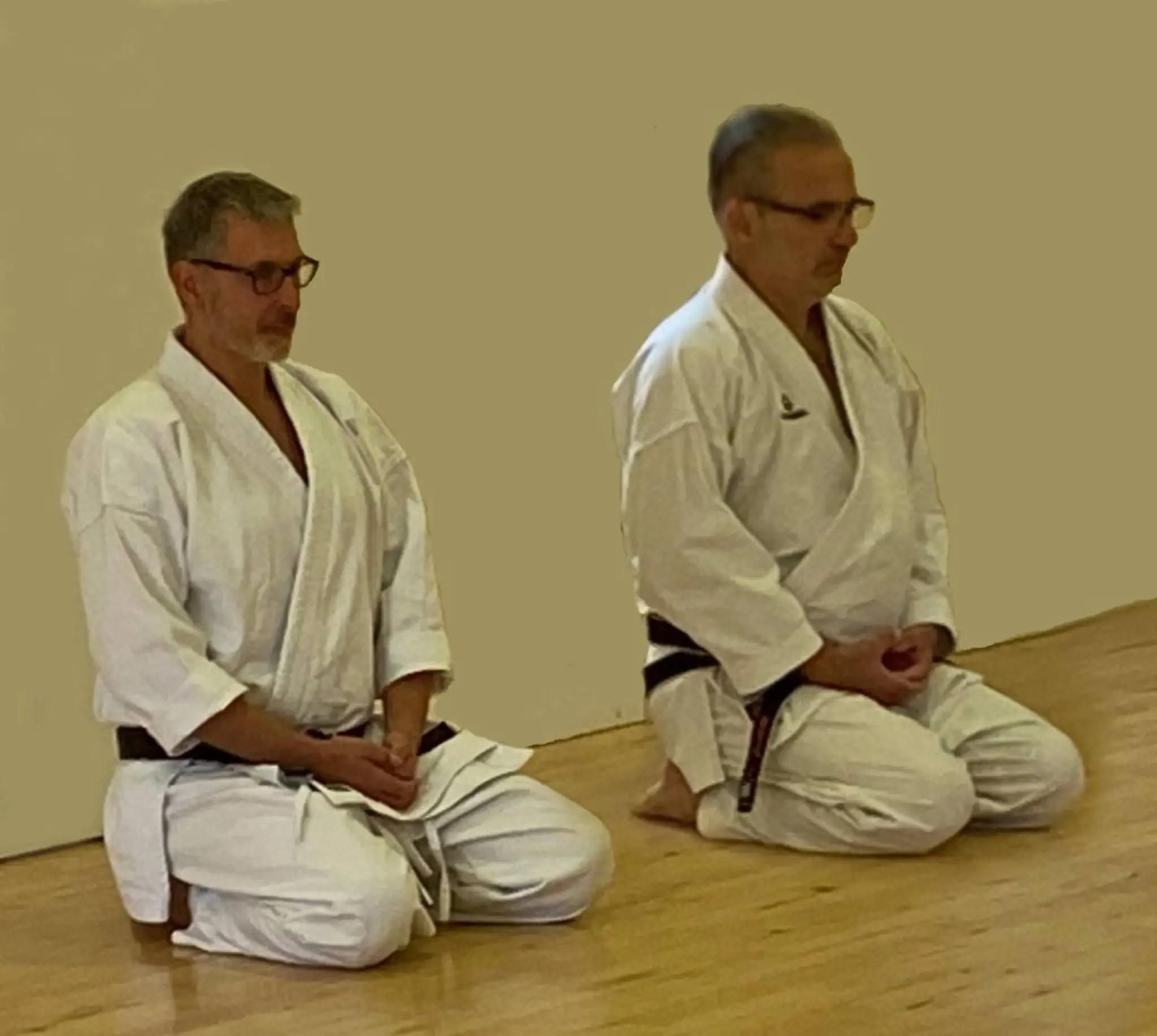 Houghton Karate Club