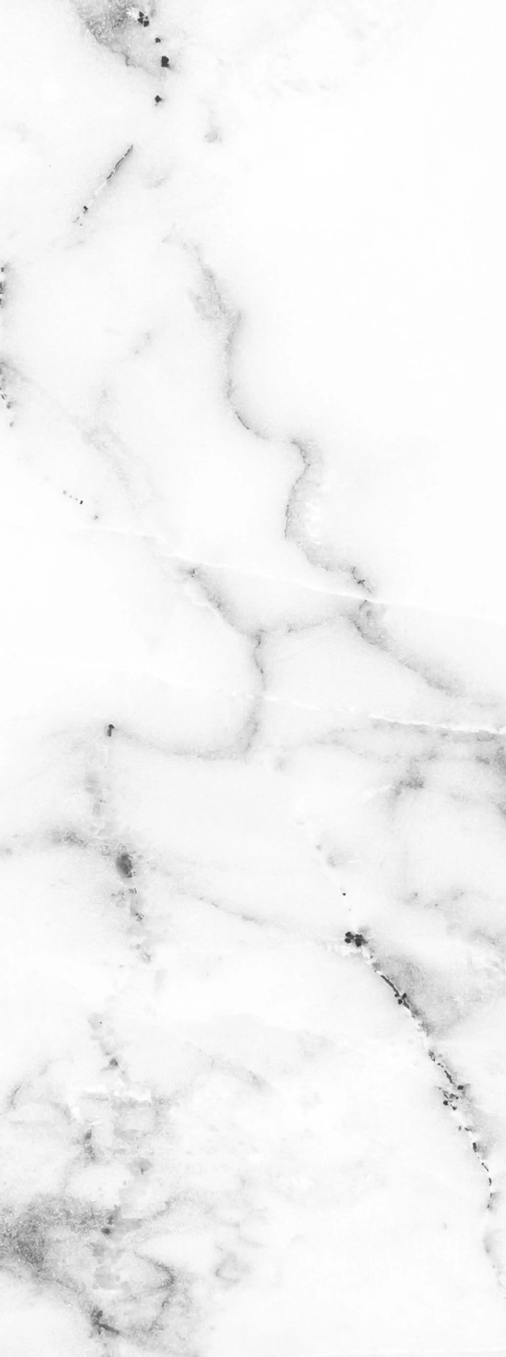 Lion's Heart Family Martial Arts