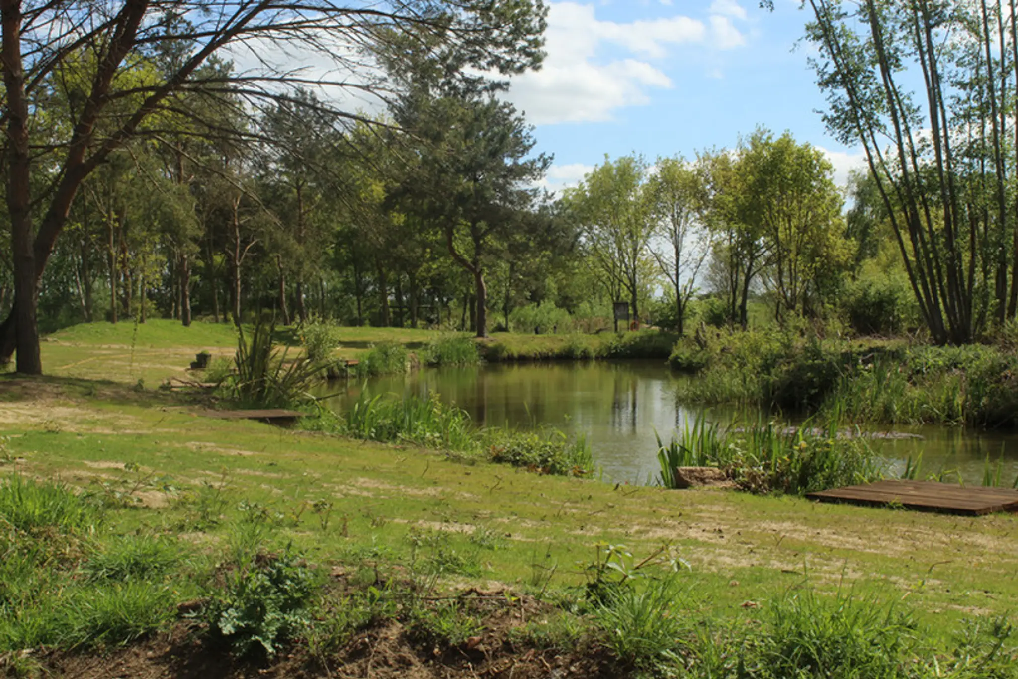 Candy Corner Fisheries