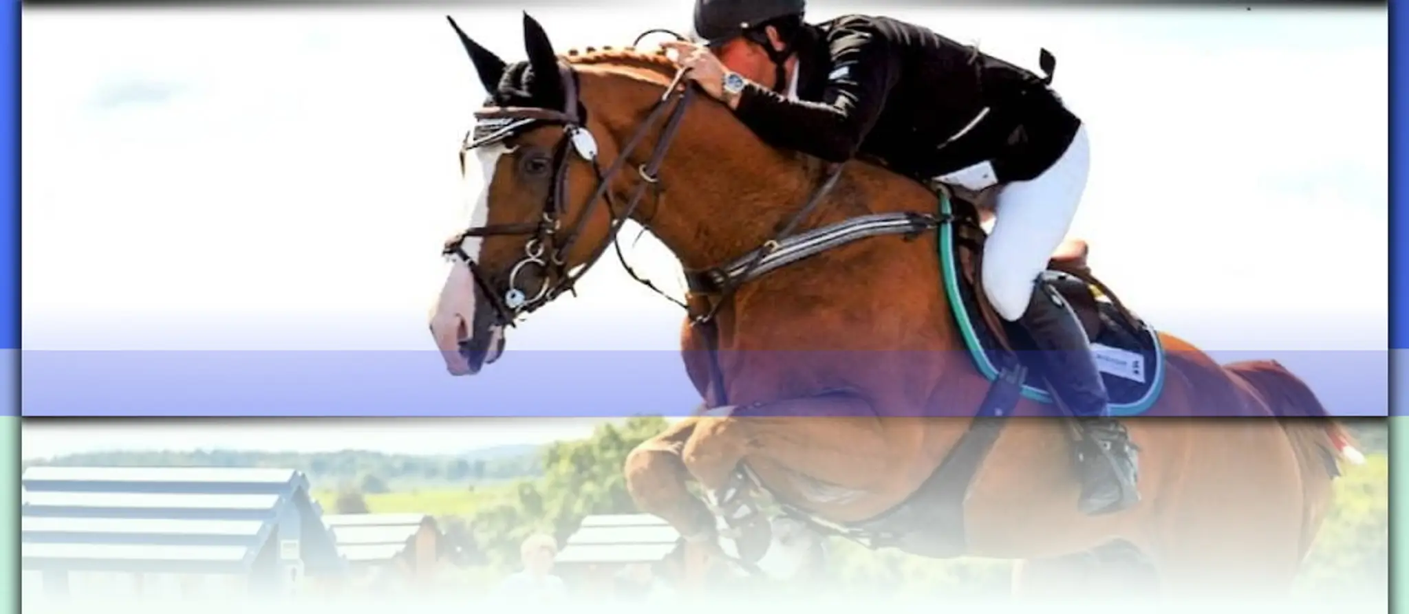 Tapitlaw Riding School