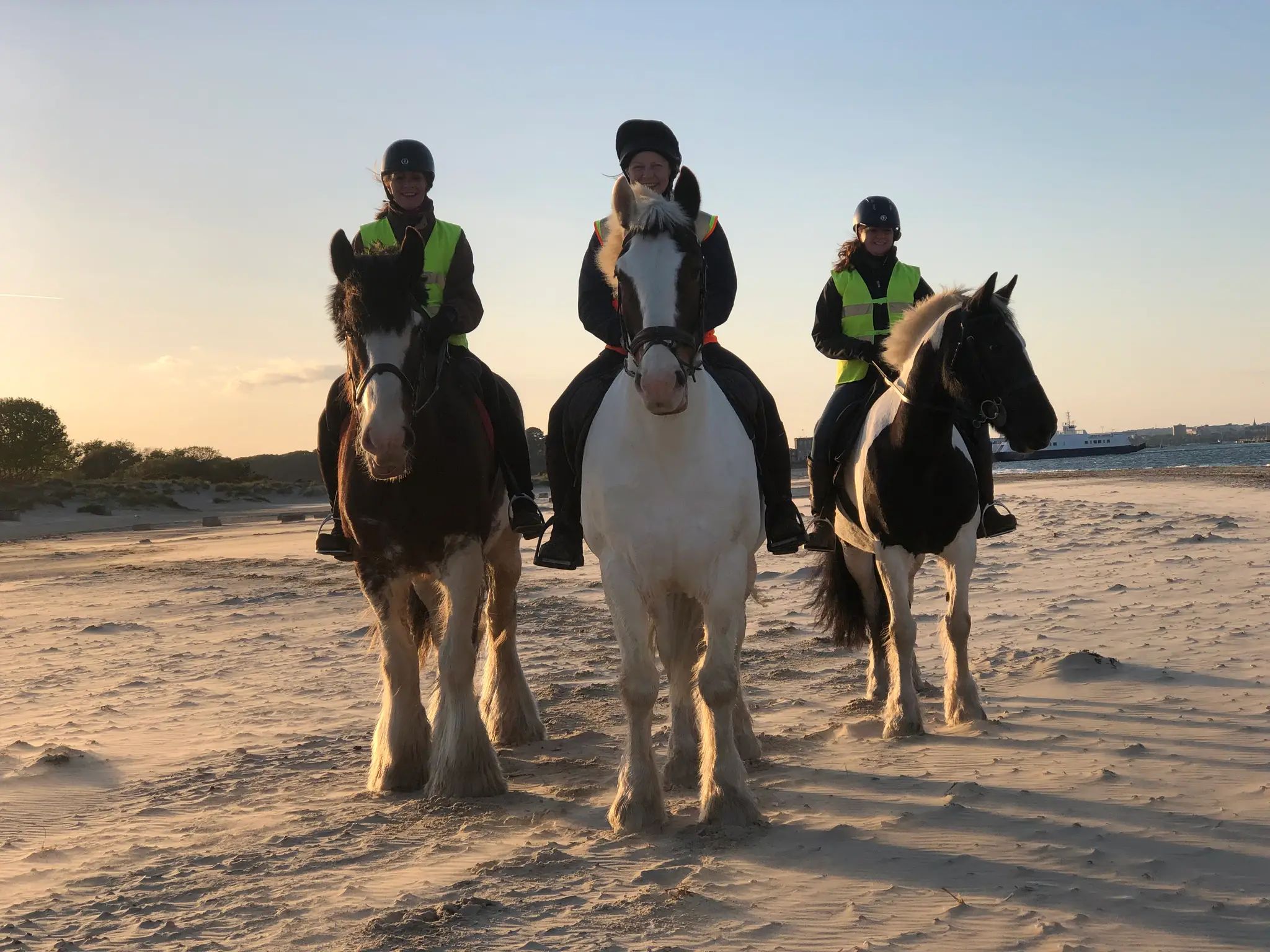 Studland Trekking Centre