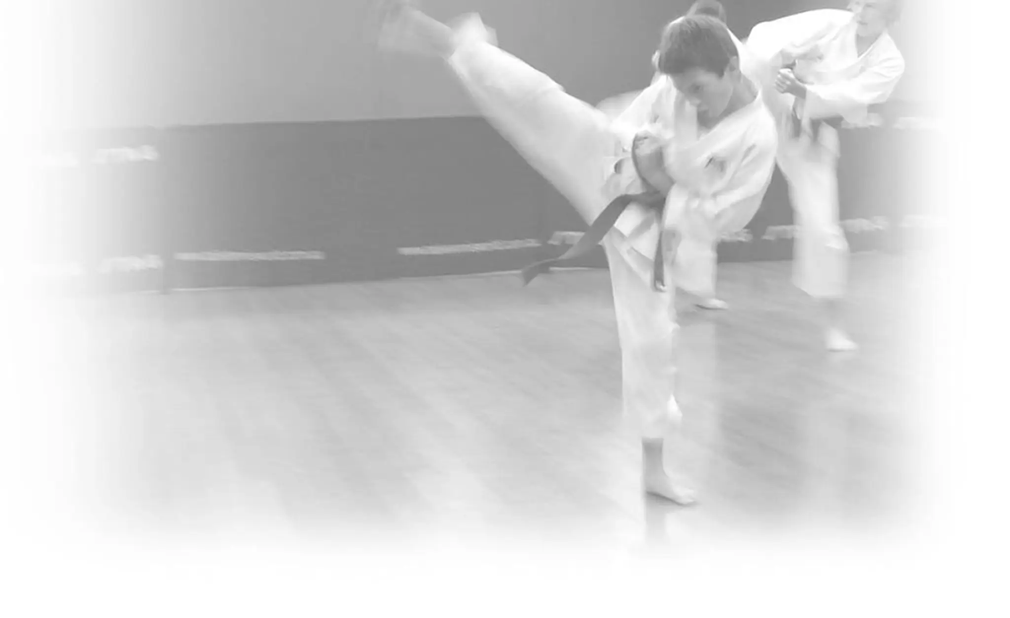 Torakan Karate