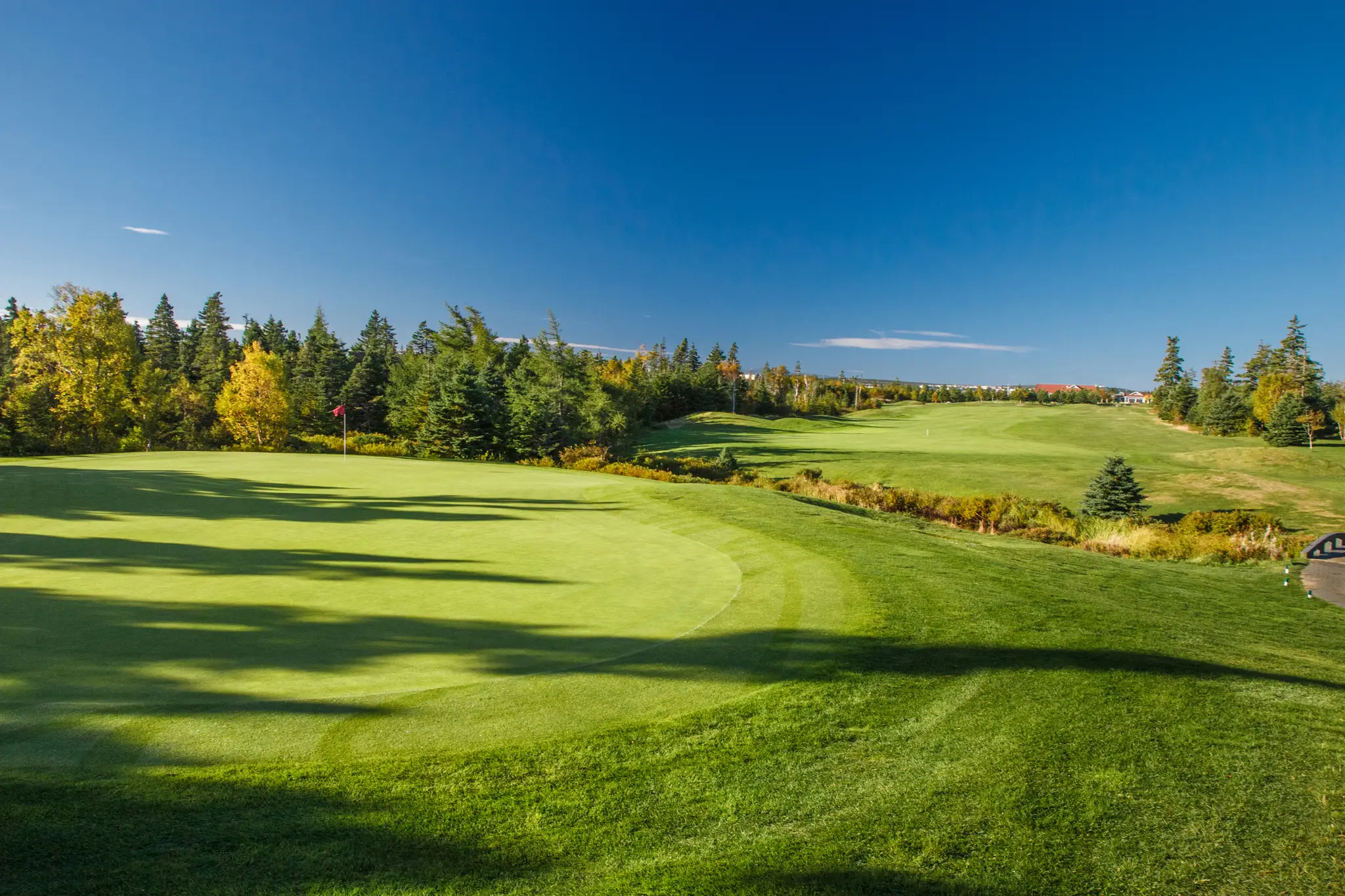 Bally Haly Country Club