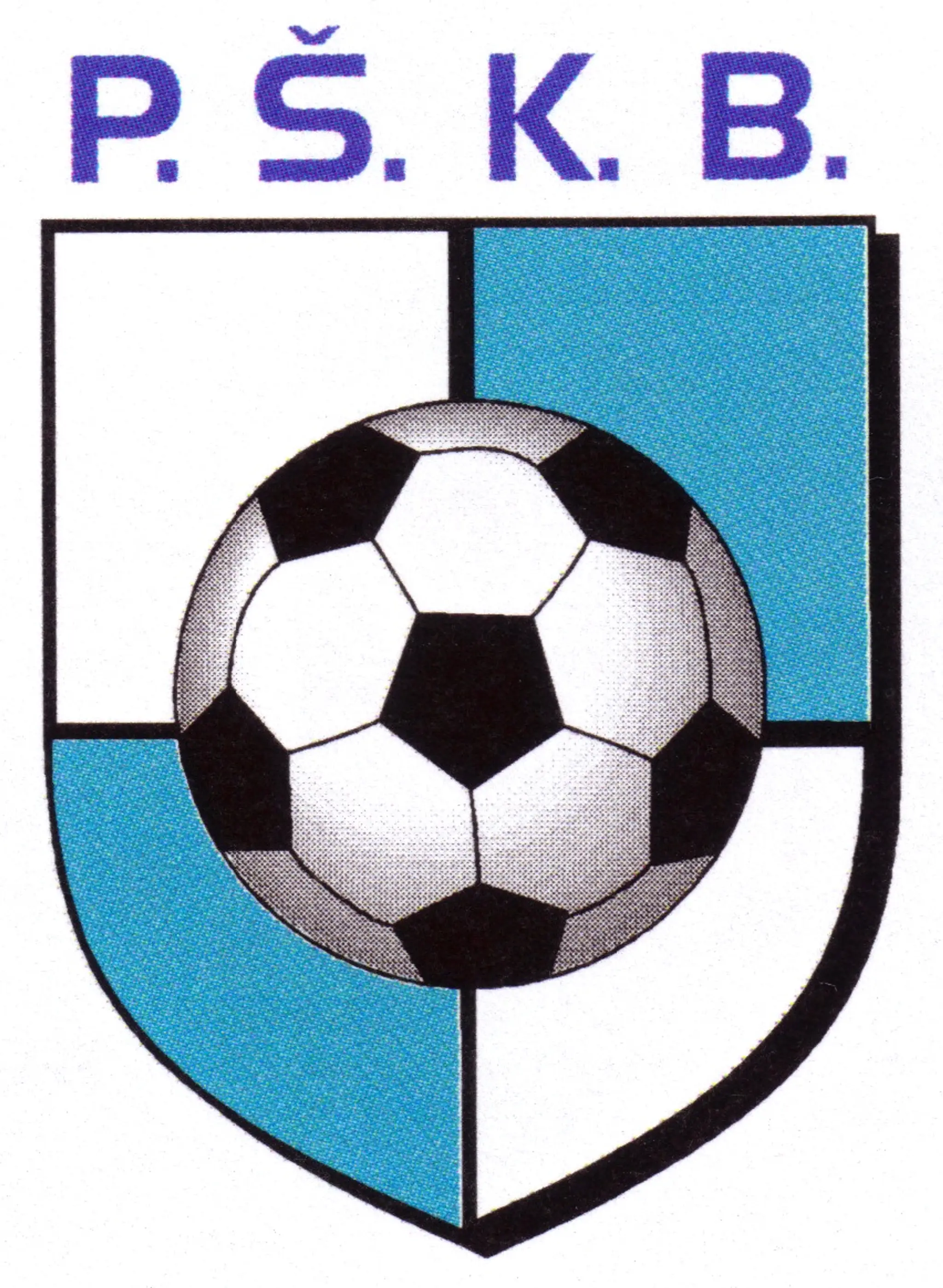 Podjavorinský športový klub, Bzince pod Javorinou