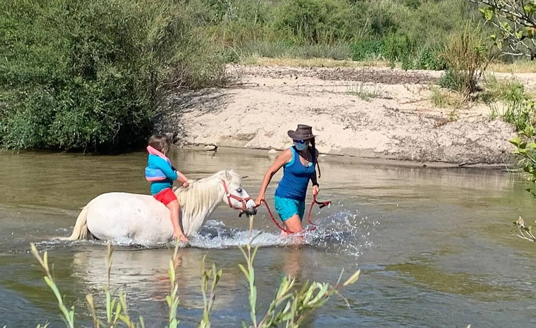 Les poneys de Filitosa Filithorse