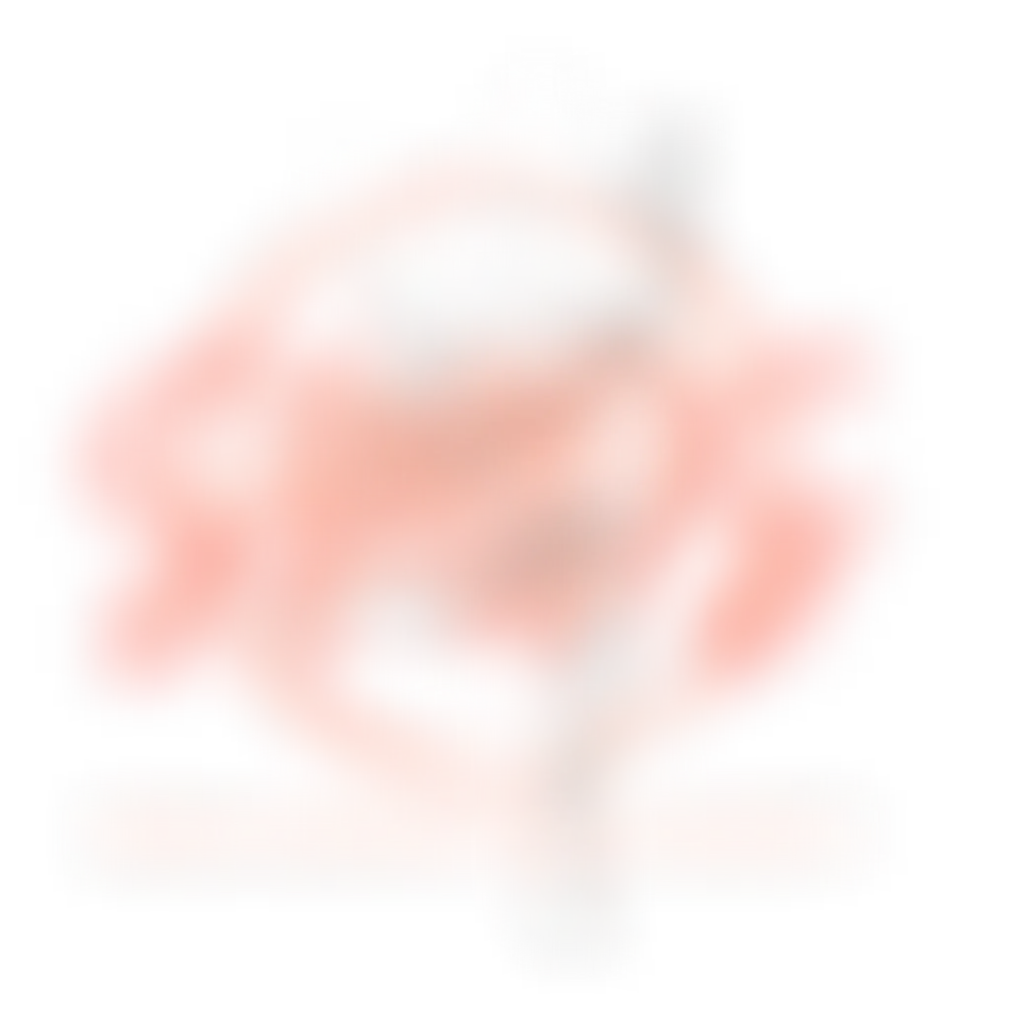 Soraya McKee Dance Society