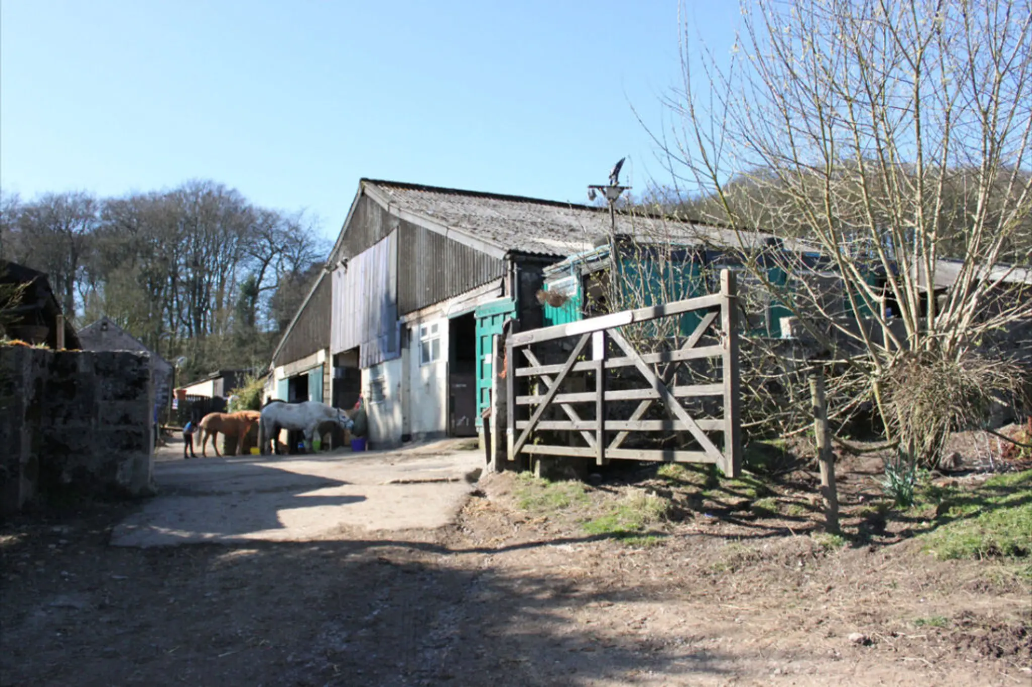 Buxton Riding School
